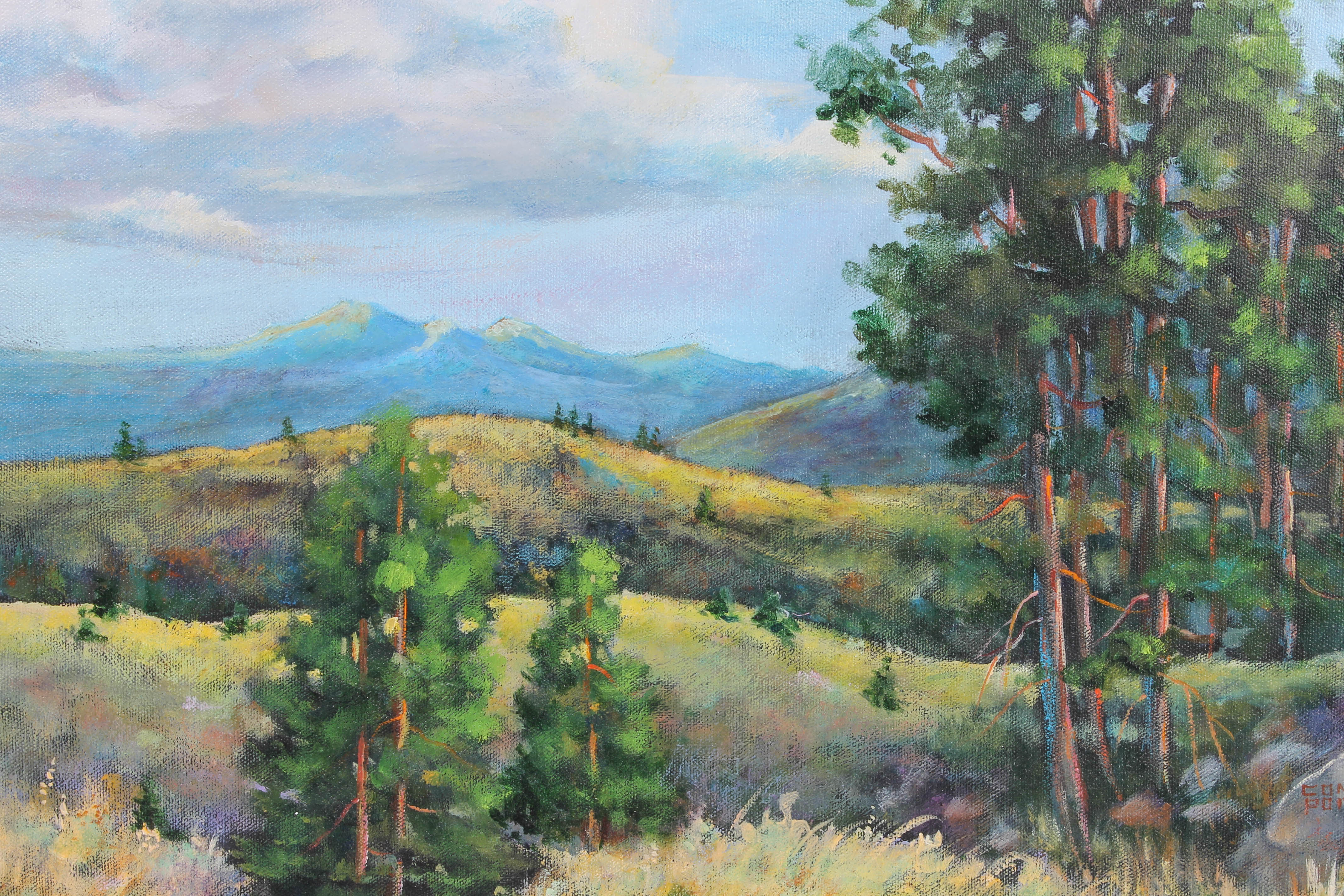 Collection of Acrylic and Oil Landscape Paintings by Various Artists