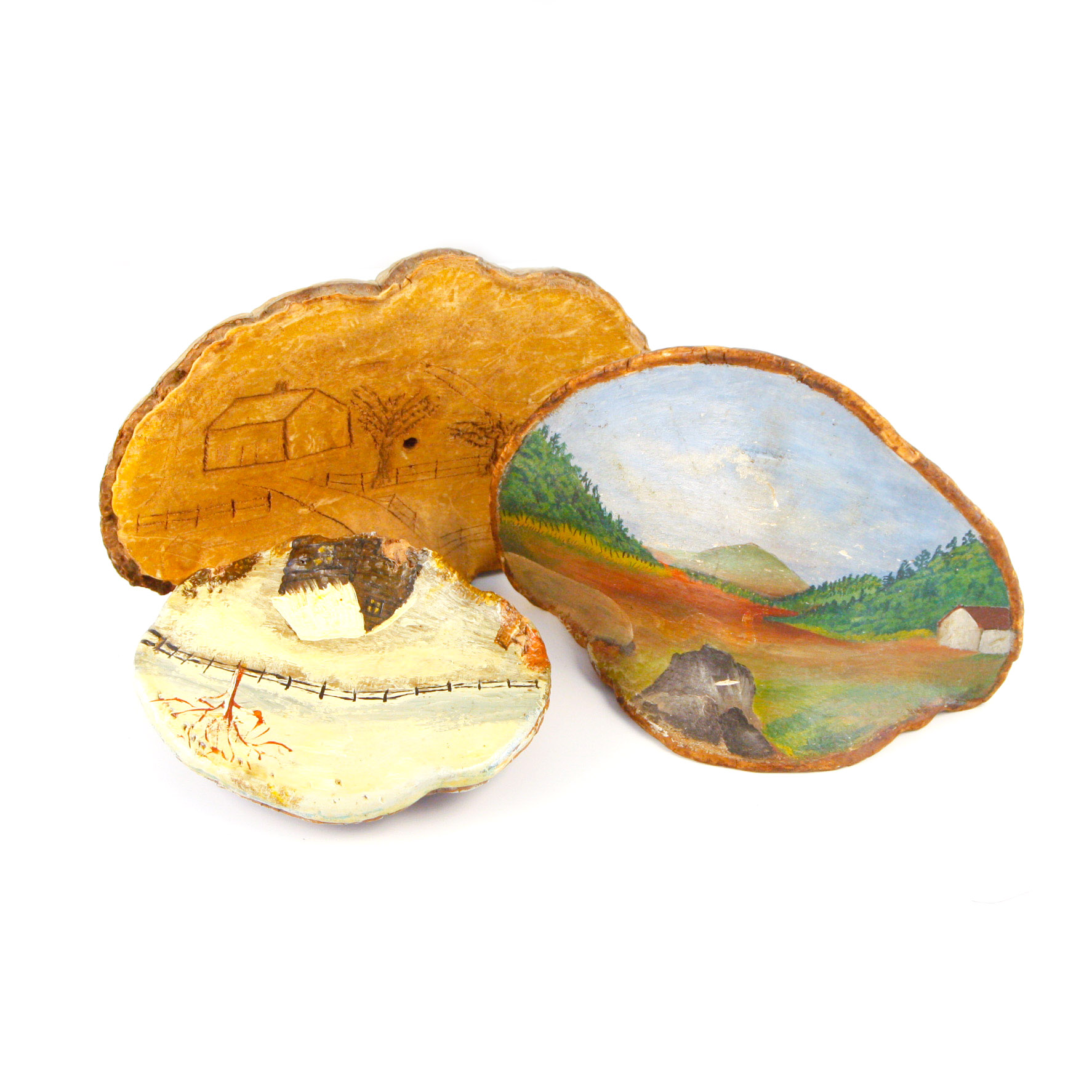 Collection of Tree Conk Art