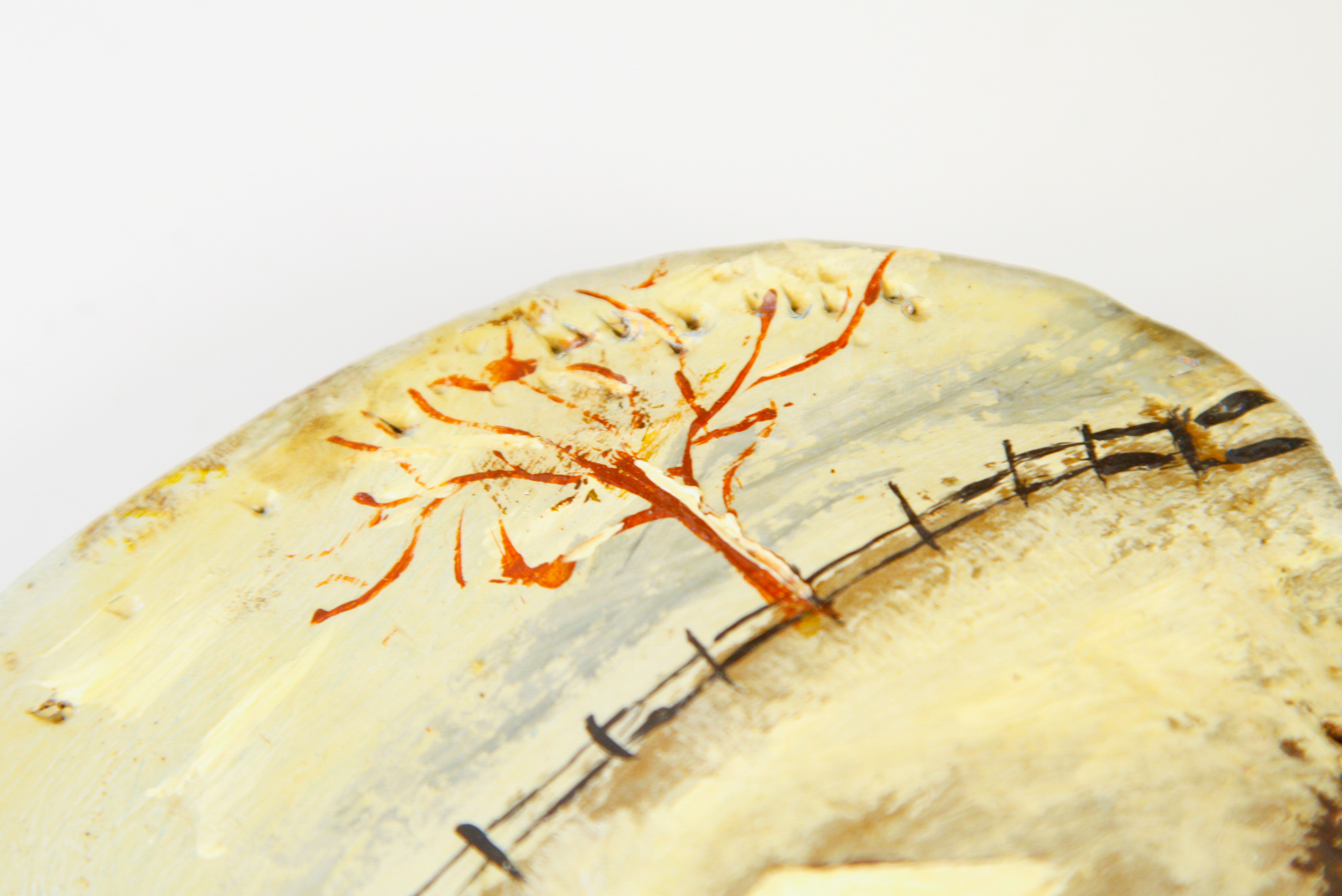 Collection of Tree Conk Art