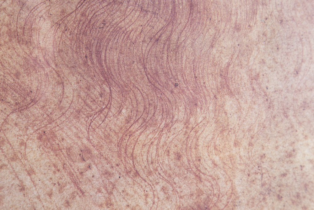 After Leonardo da Vinci Offset Lithograph