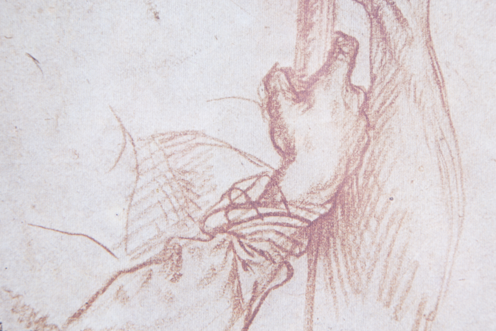 Afteer dy of Arms_ by Rosso Fiorentino Offset Lithograph