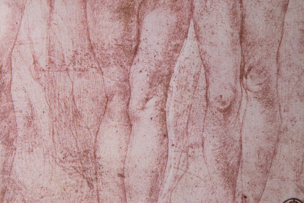 After Jacopo Pontormo Offset Lithograph