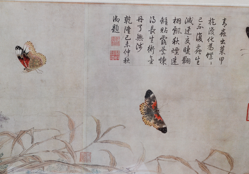 Framed Chinese Offset Lithograph After "Butterflies Sketched From Life" by Zhao Chang