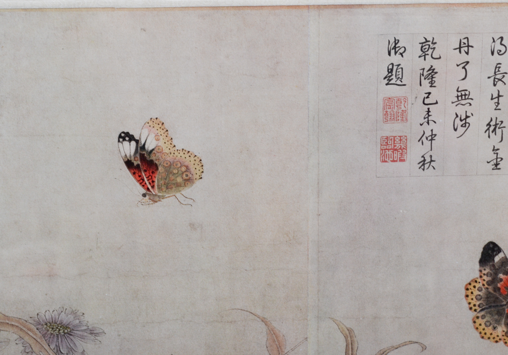 Framed Chinese Offset Lithograph After "Butterflies Sketched From Life" by Zhao Chang