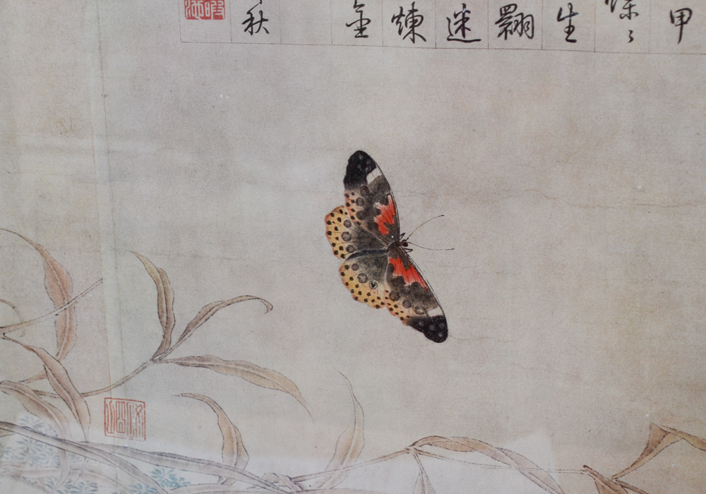 Framed Chinese Offset Lithograph After "Butterflies Sketched From Life" by Zhao Chang