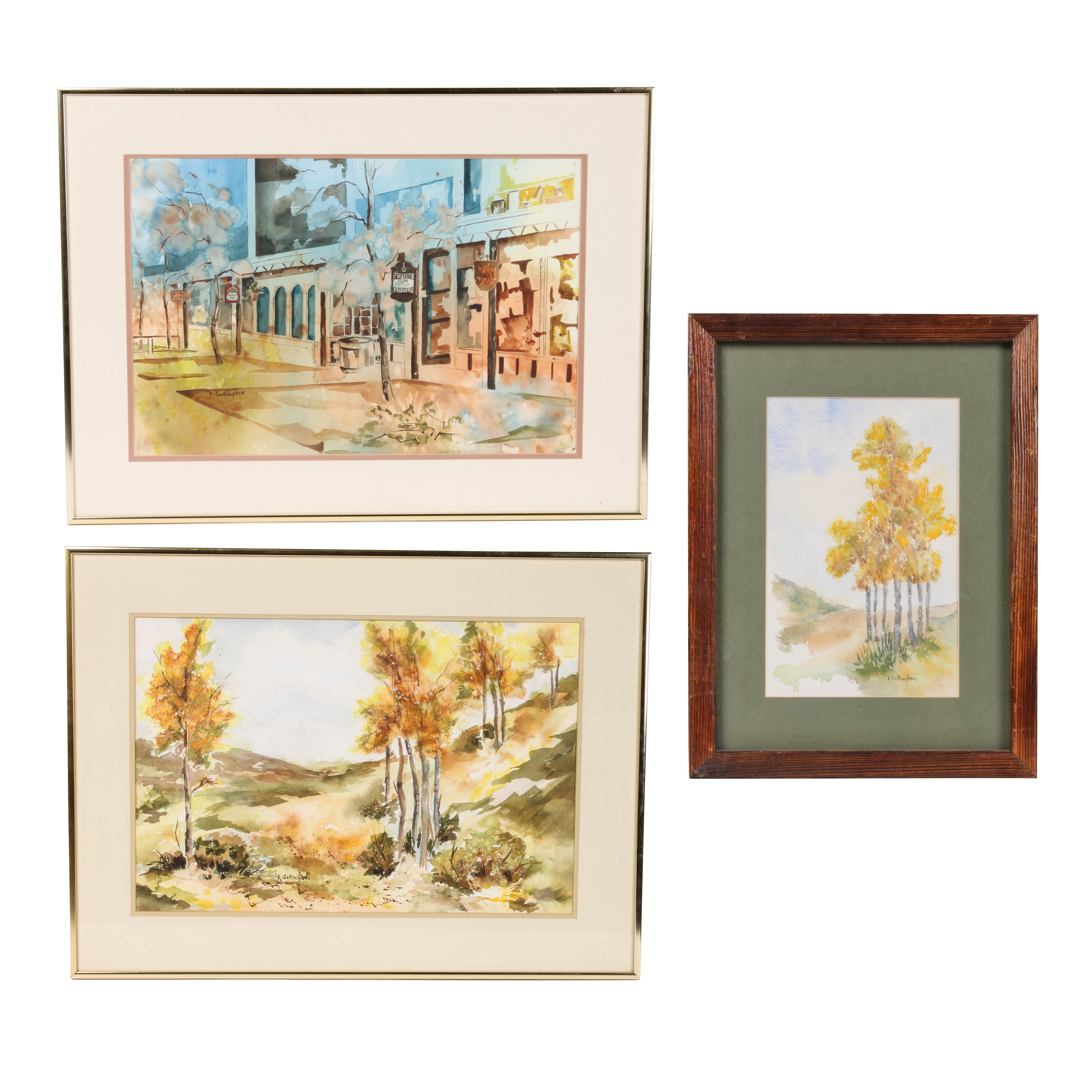 Elizabeth G. Cottingham Watercolor Painting Collection