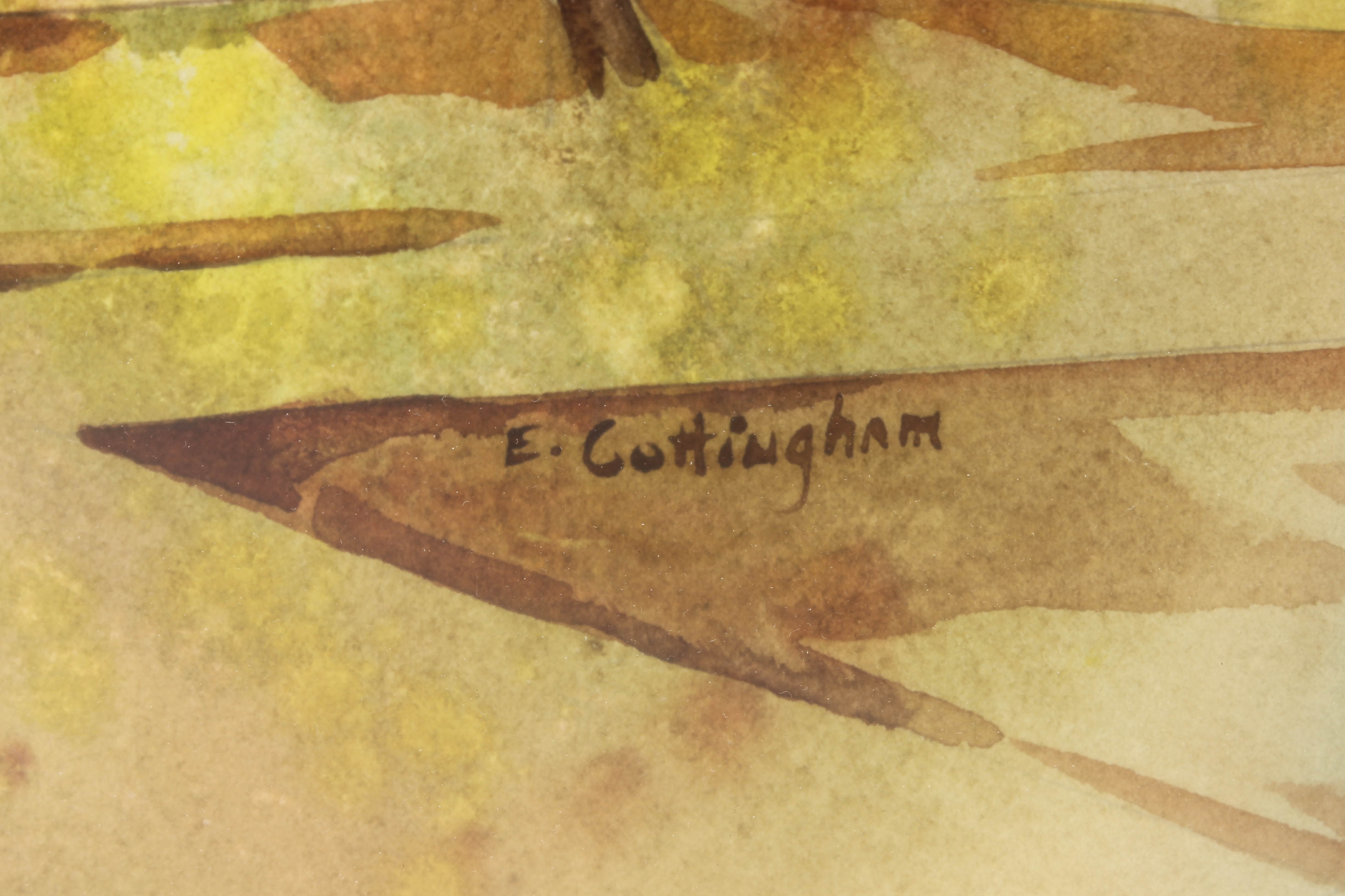 Elizabeth G. Cottingham Watercolor Painting Collection