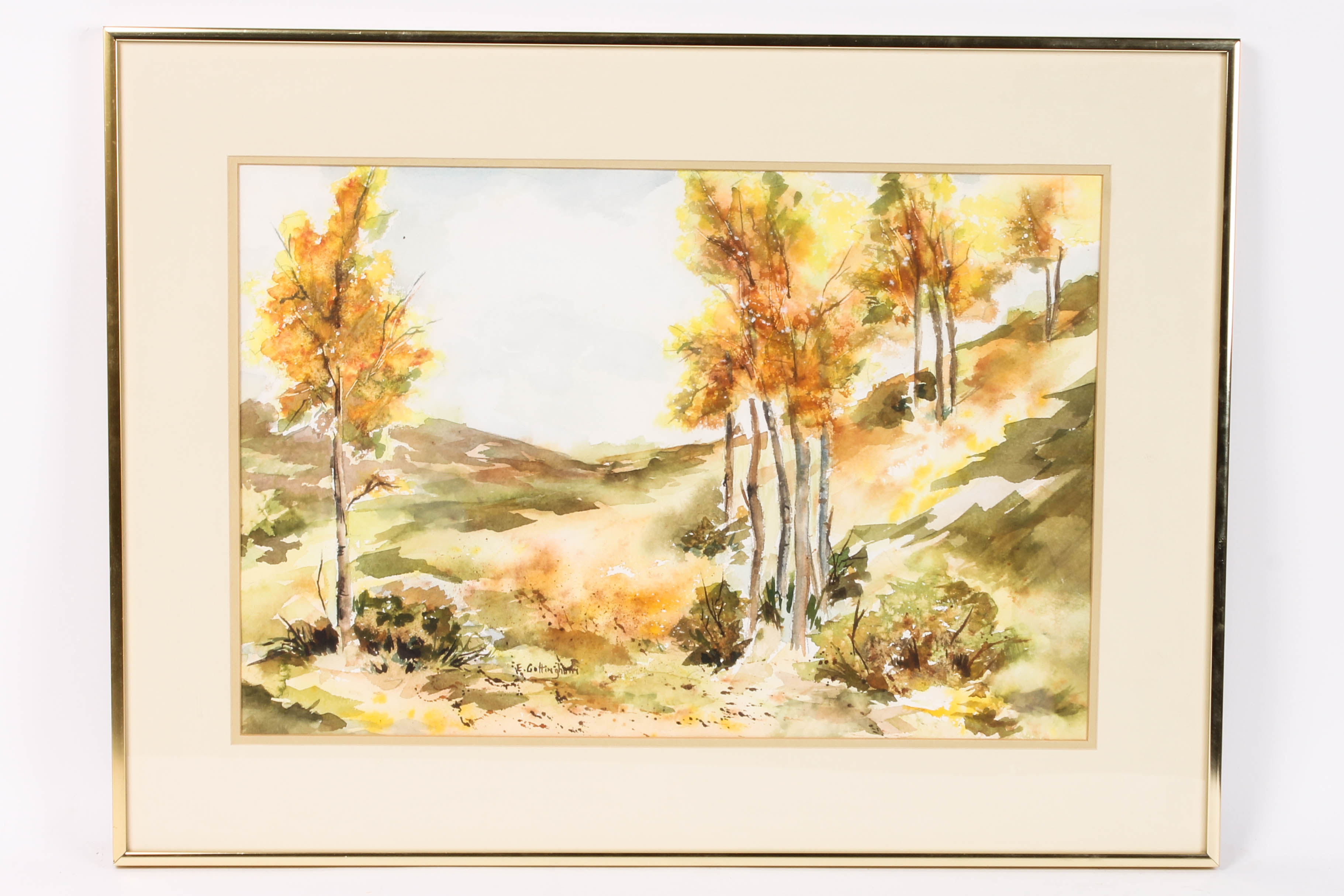 Elizabeth G. Cottingham Watercolor Painting Collection