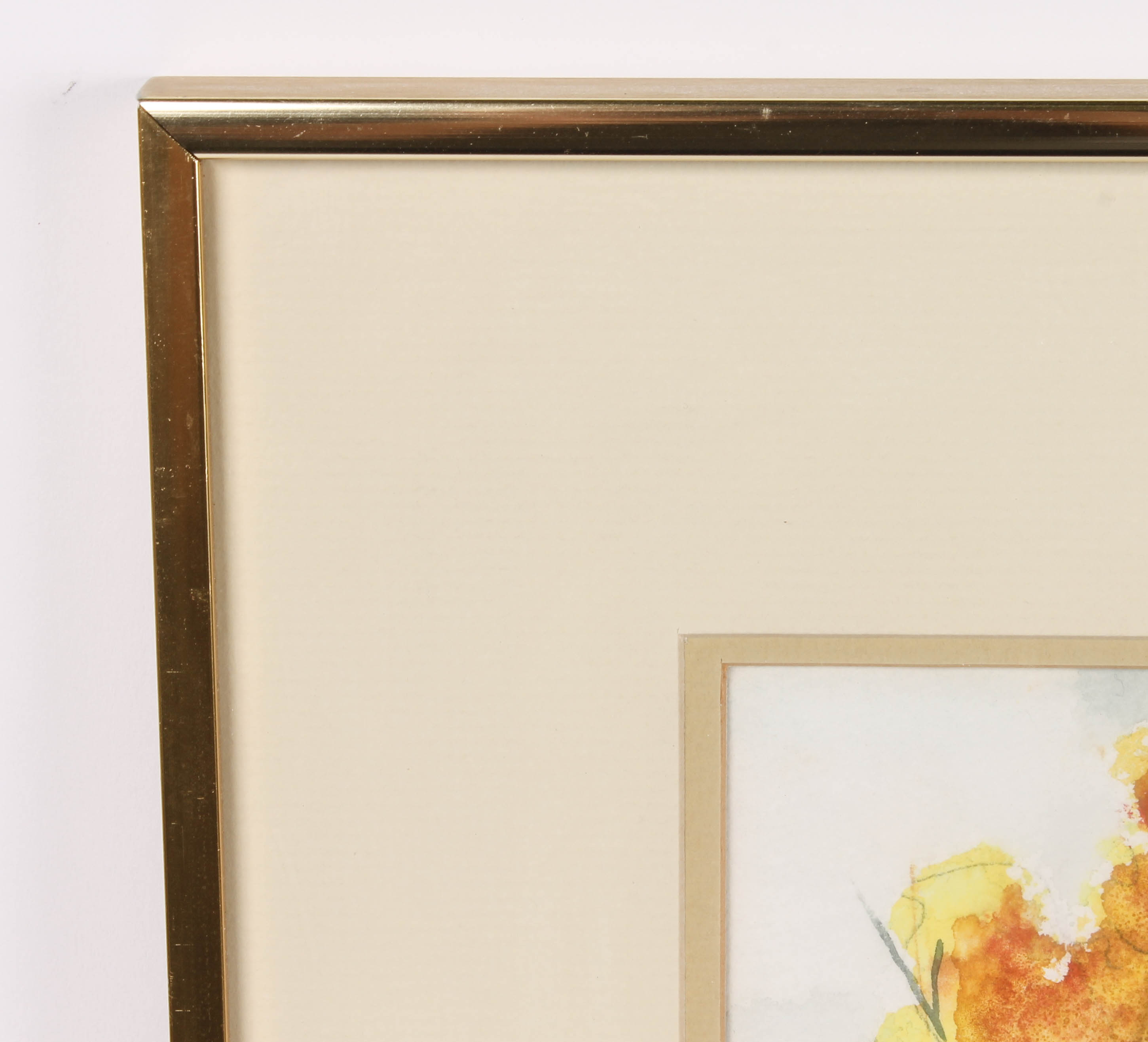 Elizabeth G. Cottingham Watercolor Painting Collection