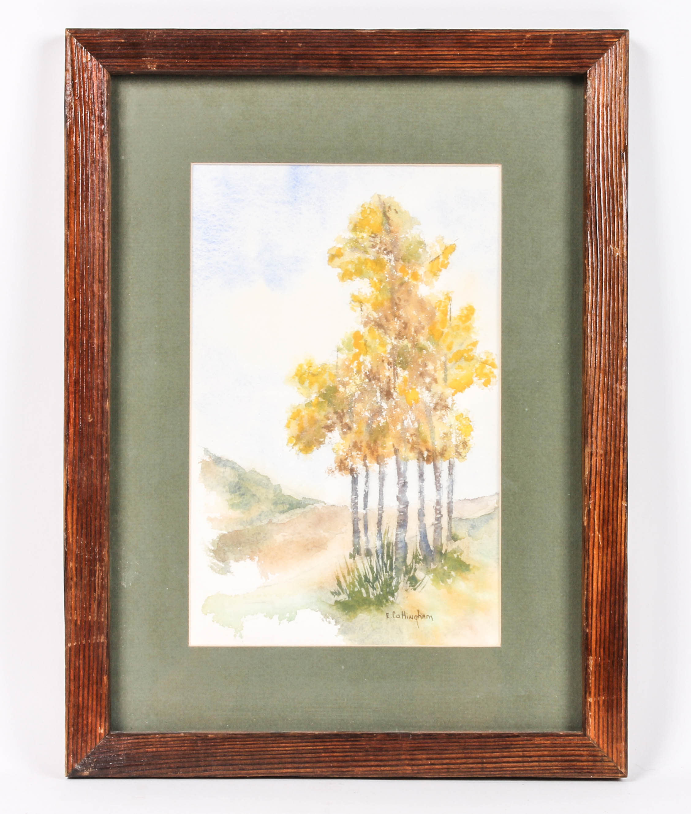 Elizabeth G. Cottingham Watercolor Painting Collection