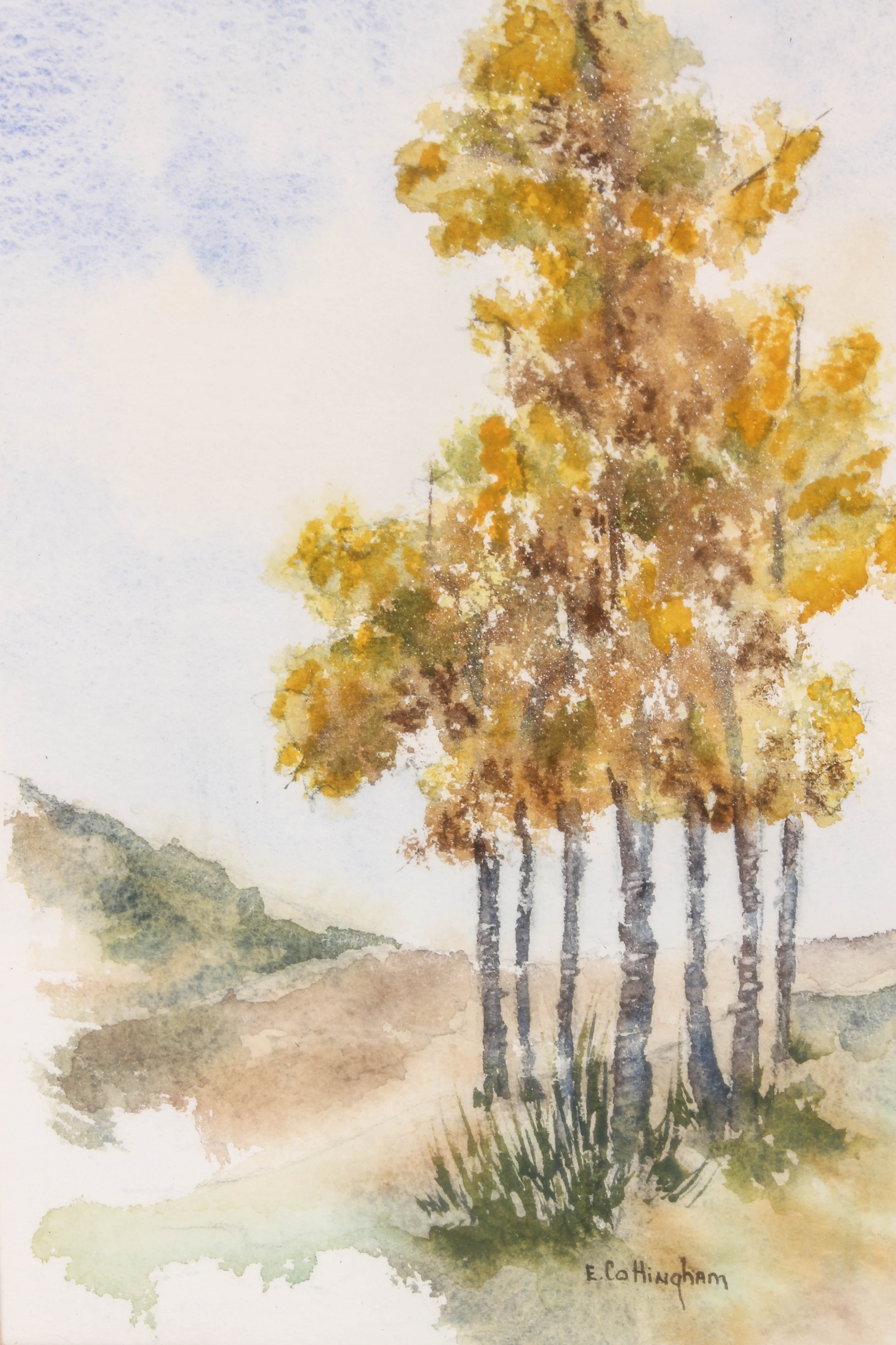 Elizabeth G. Cottingham Watercolor Painting Collection