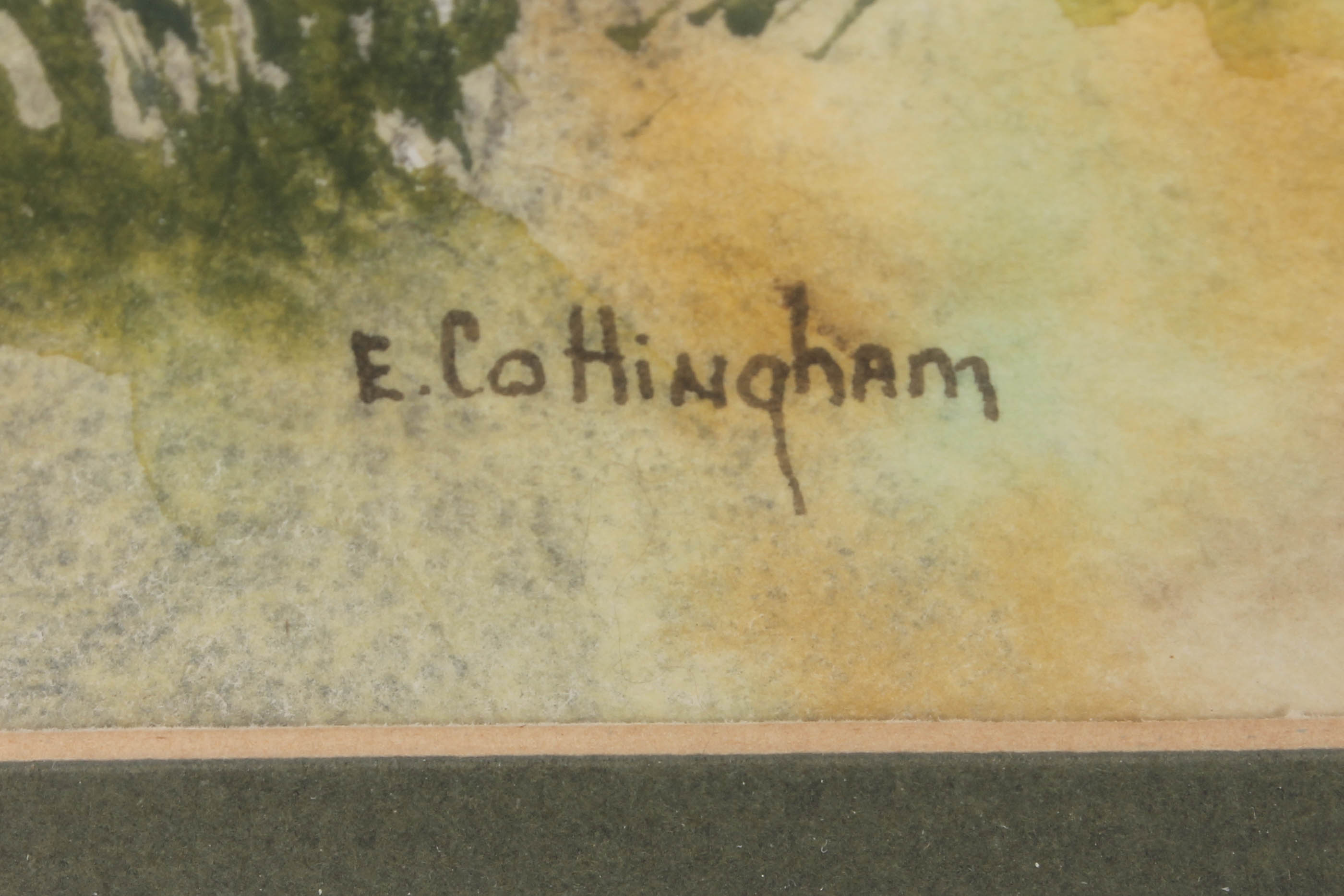 Elizabeth G. Cottingham Watercolor Painting Collection