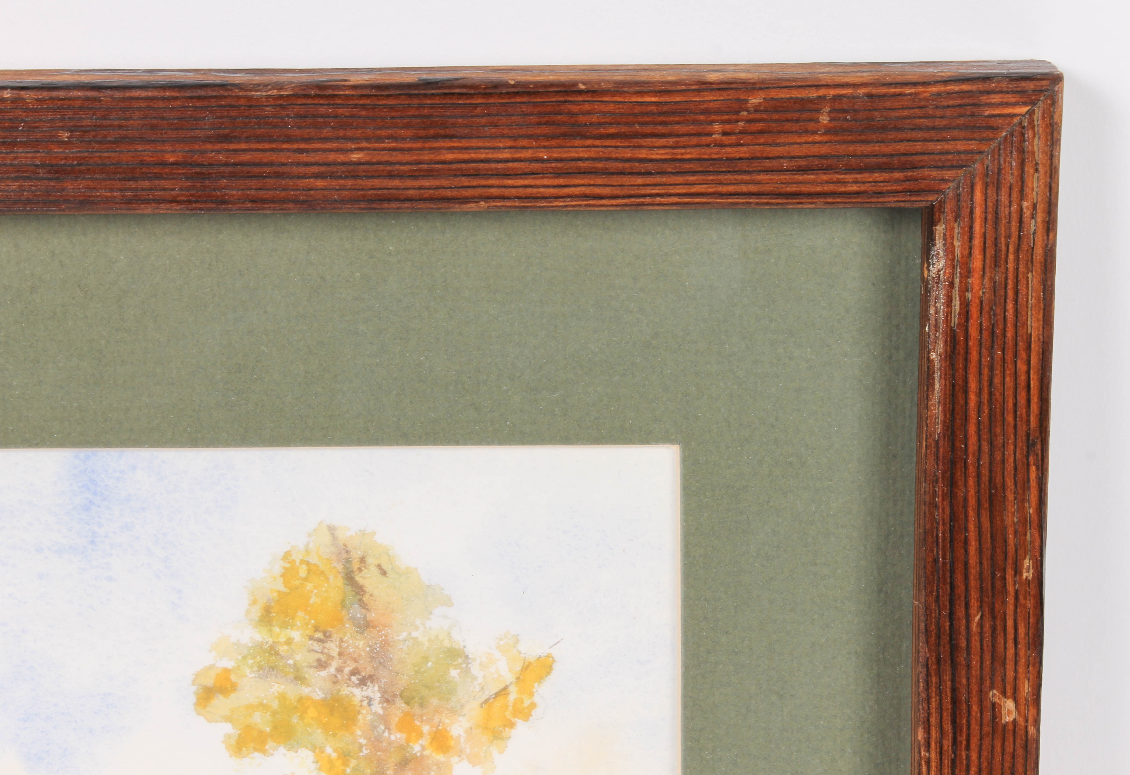 Elizabeth G. Cottingham Watercolor Painting Collection