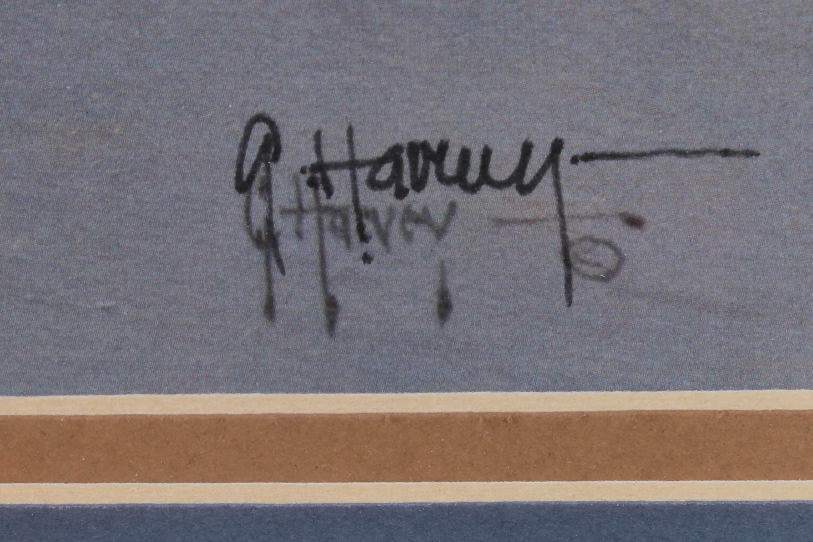 Guy Harvey Limited Edition Offset Lithograph