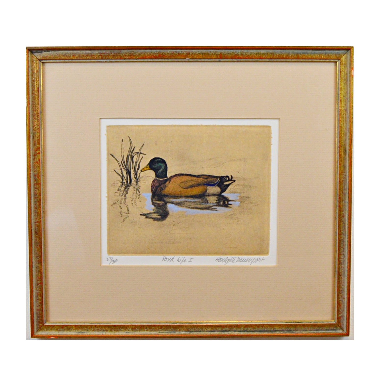 H. Davenport Limited Edition Etching "Pond Life I"