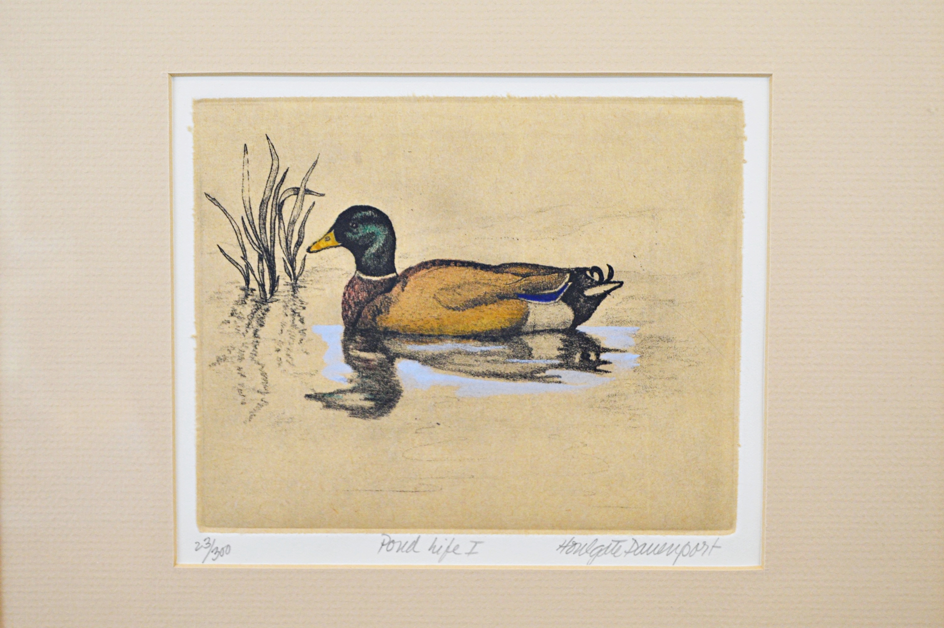 H. Davenport Limited Edition Etching "Pond Life I"