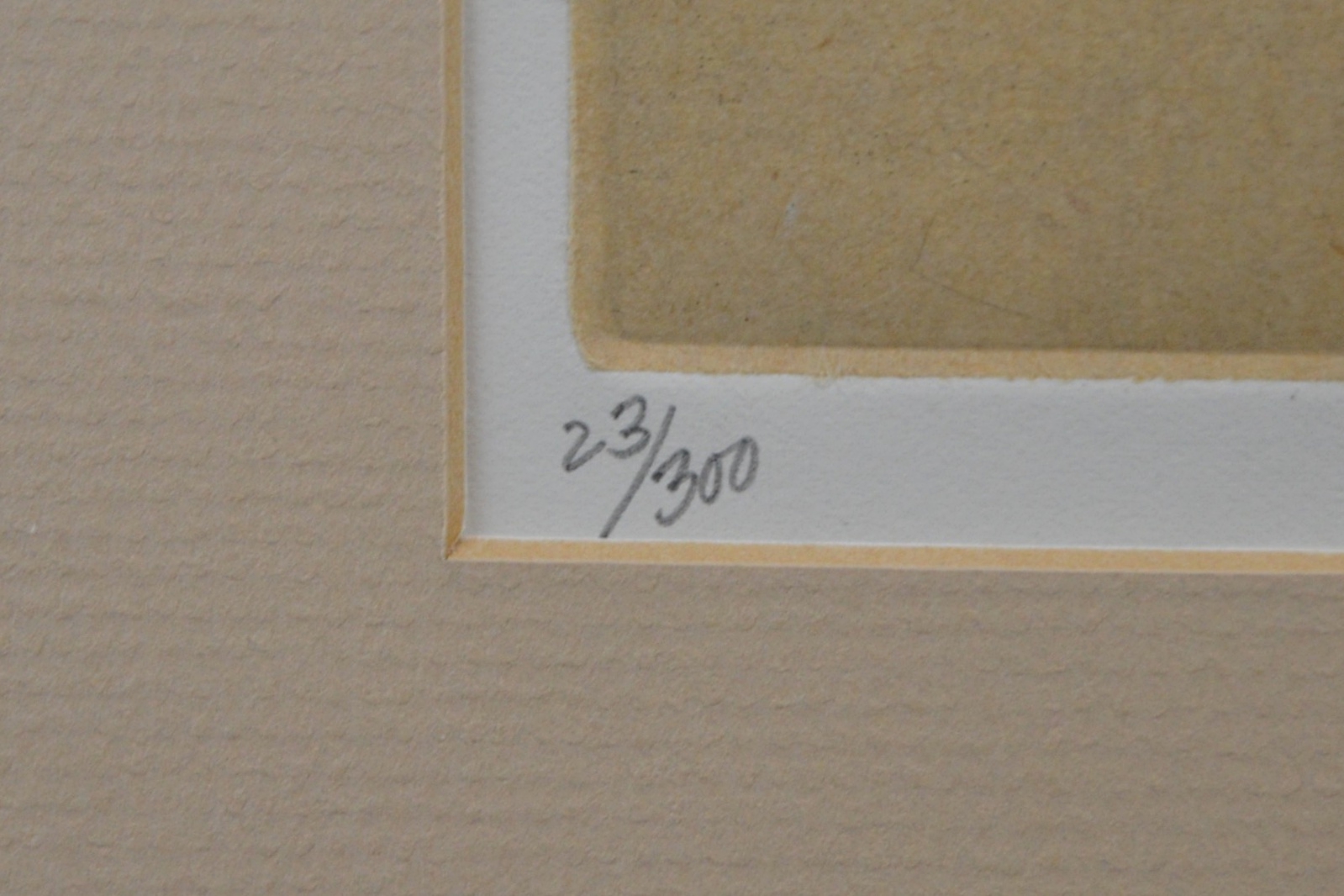 H. Davenport Limited Edition Etching "Pond Life I"