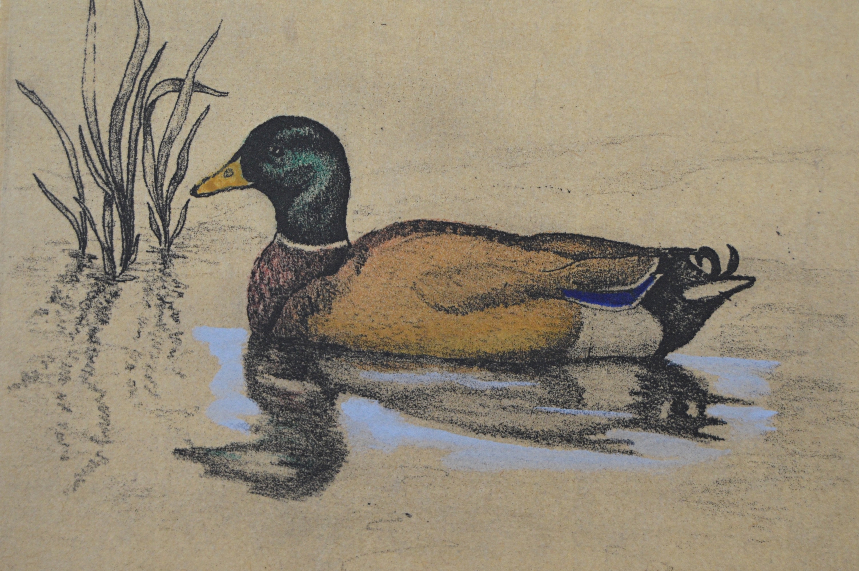 H. Davenport Limited Edition Etching "Pond Life I"