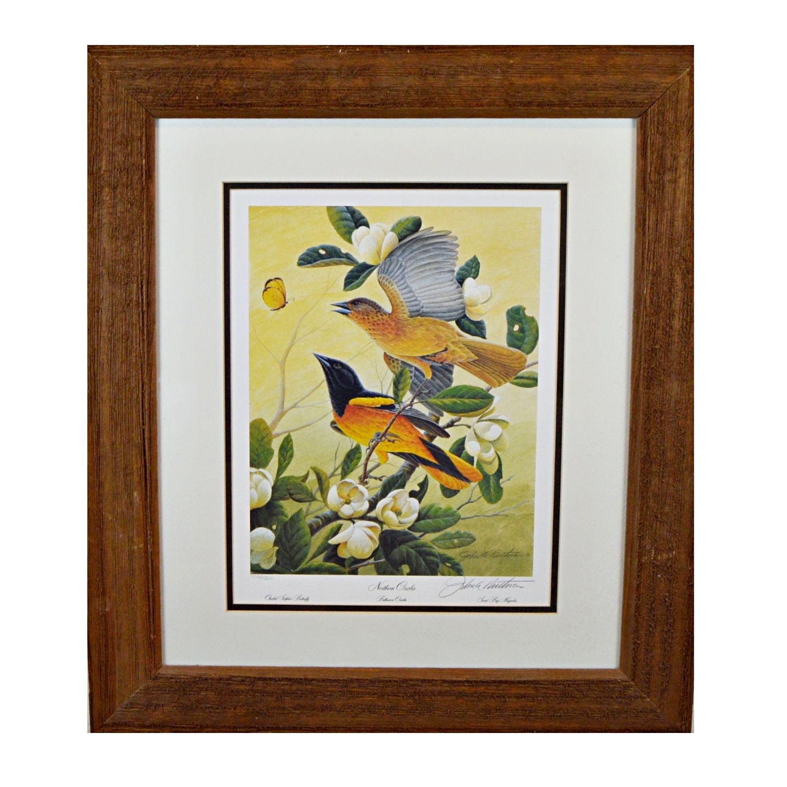 John Ruthven Limited Edition Offset Lithograph "Northern Orioles"