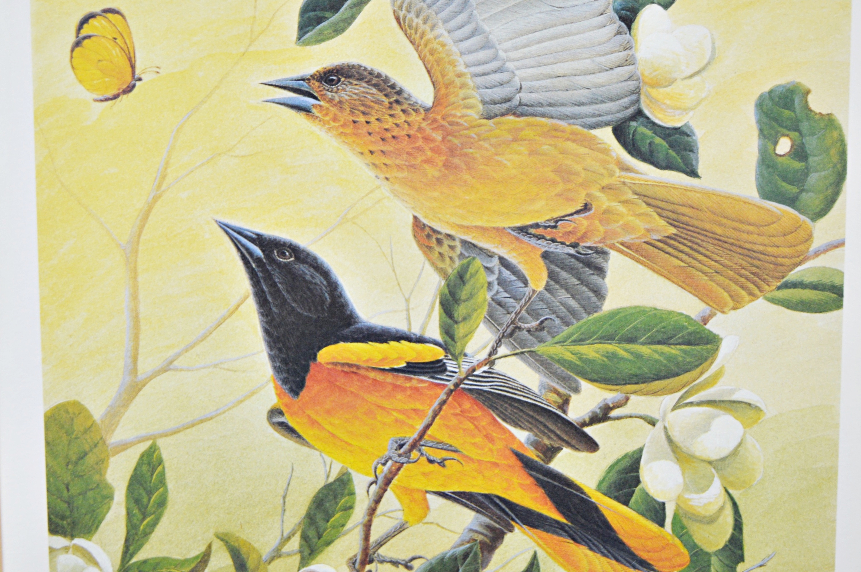 John Ruthven Limited Edition Offset Lithograph "Northern Orioles"