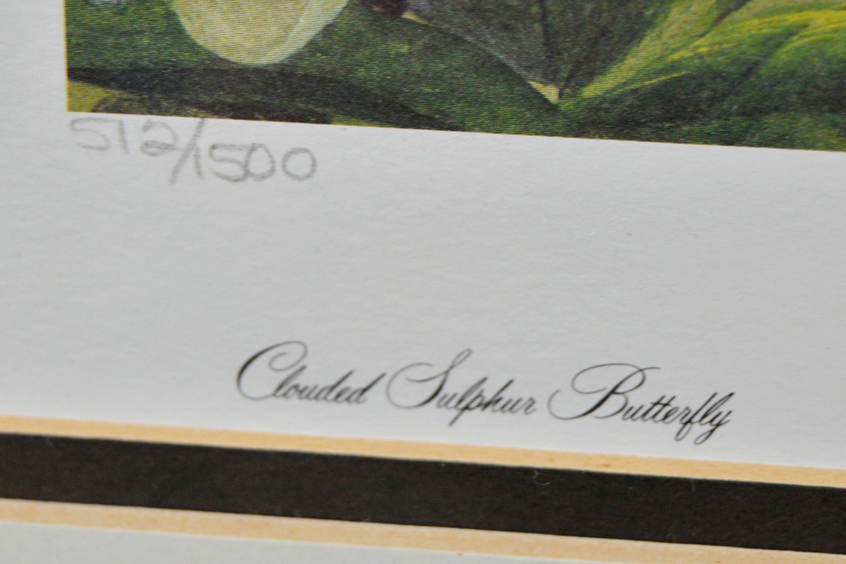 John Ruthven Limited Edition Offset Lithograph "Northern Orioles"