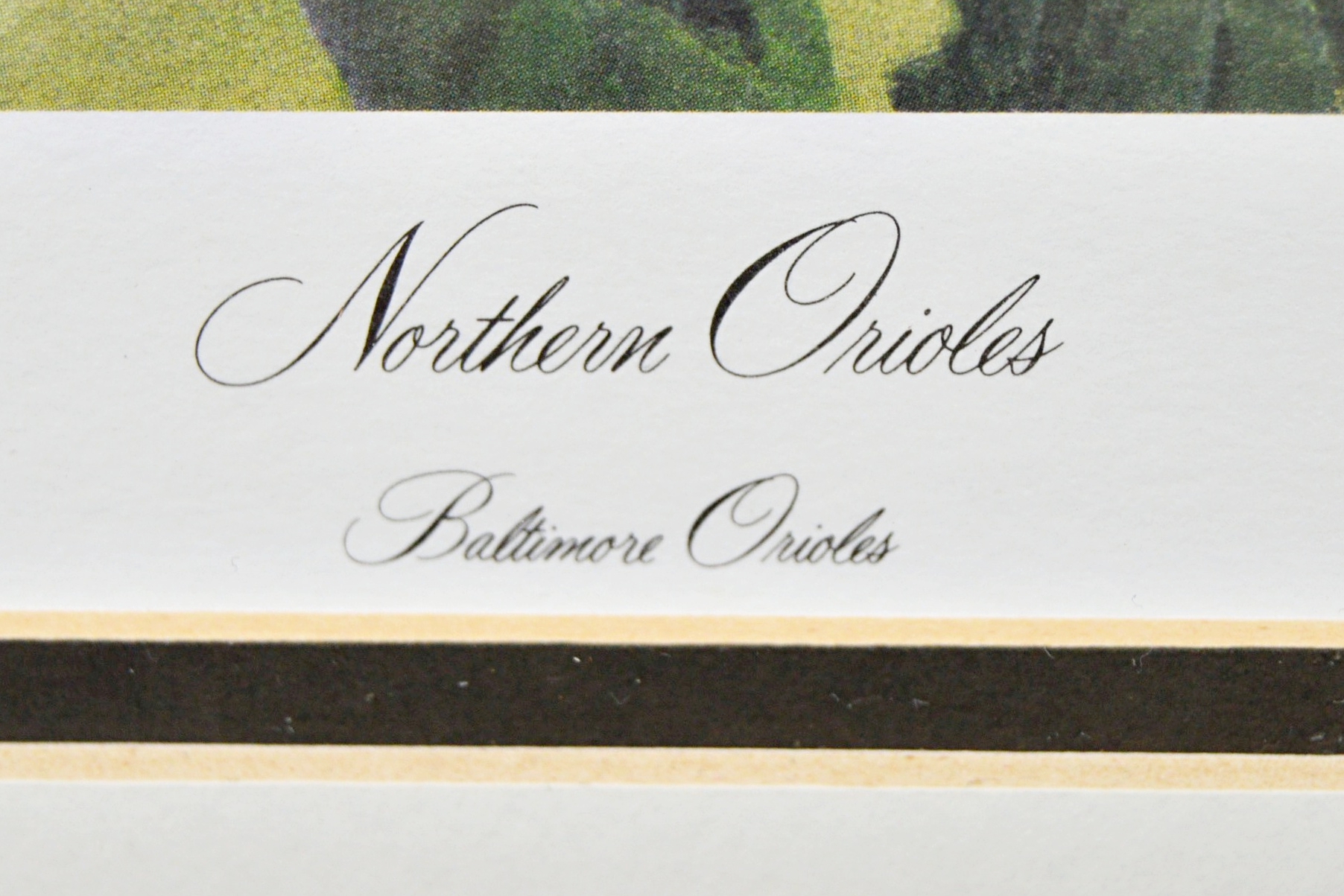 John Ruthven Limited Edition Offset Lithograph "Northern Orioles"