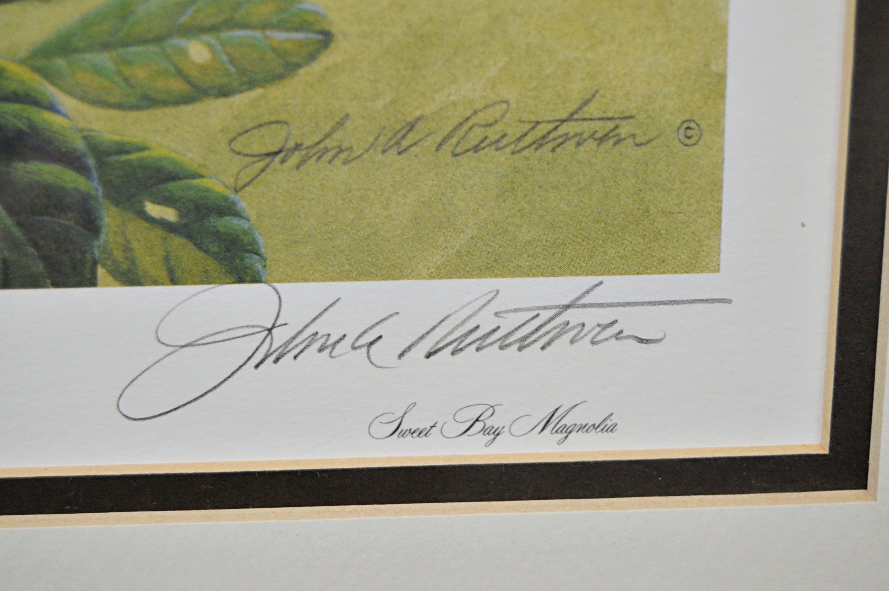 John Ruthven Limited Edition Offset Lithograph "Northern Orioles"