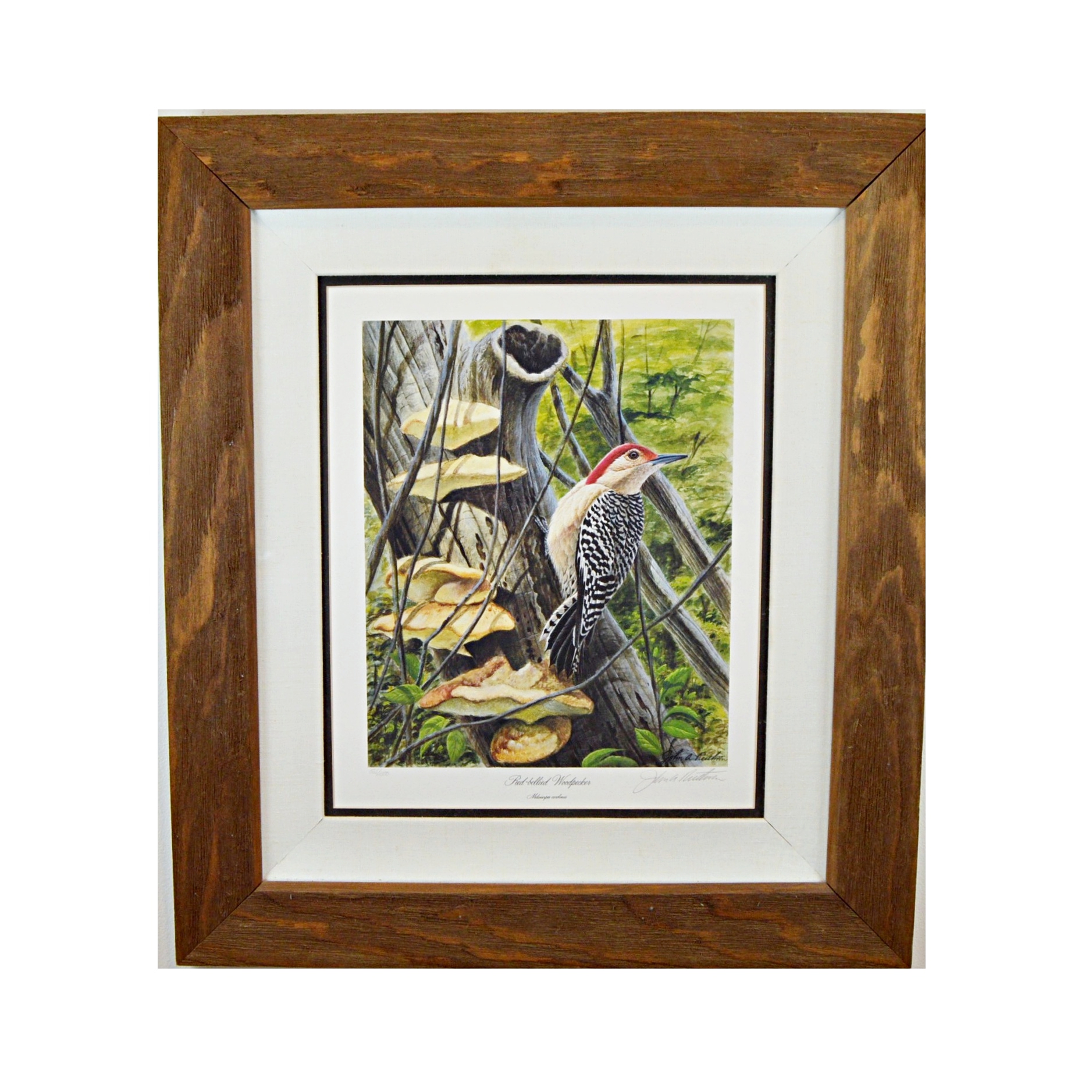 John Ruthven Limited Edition Offset Lithograph "Woodpecker"