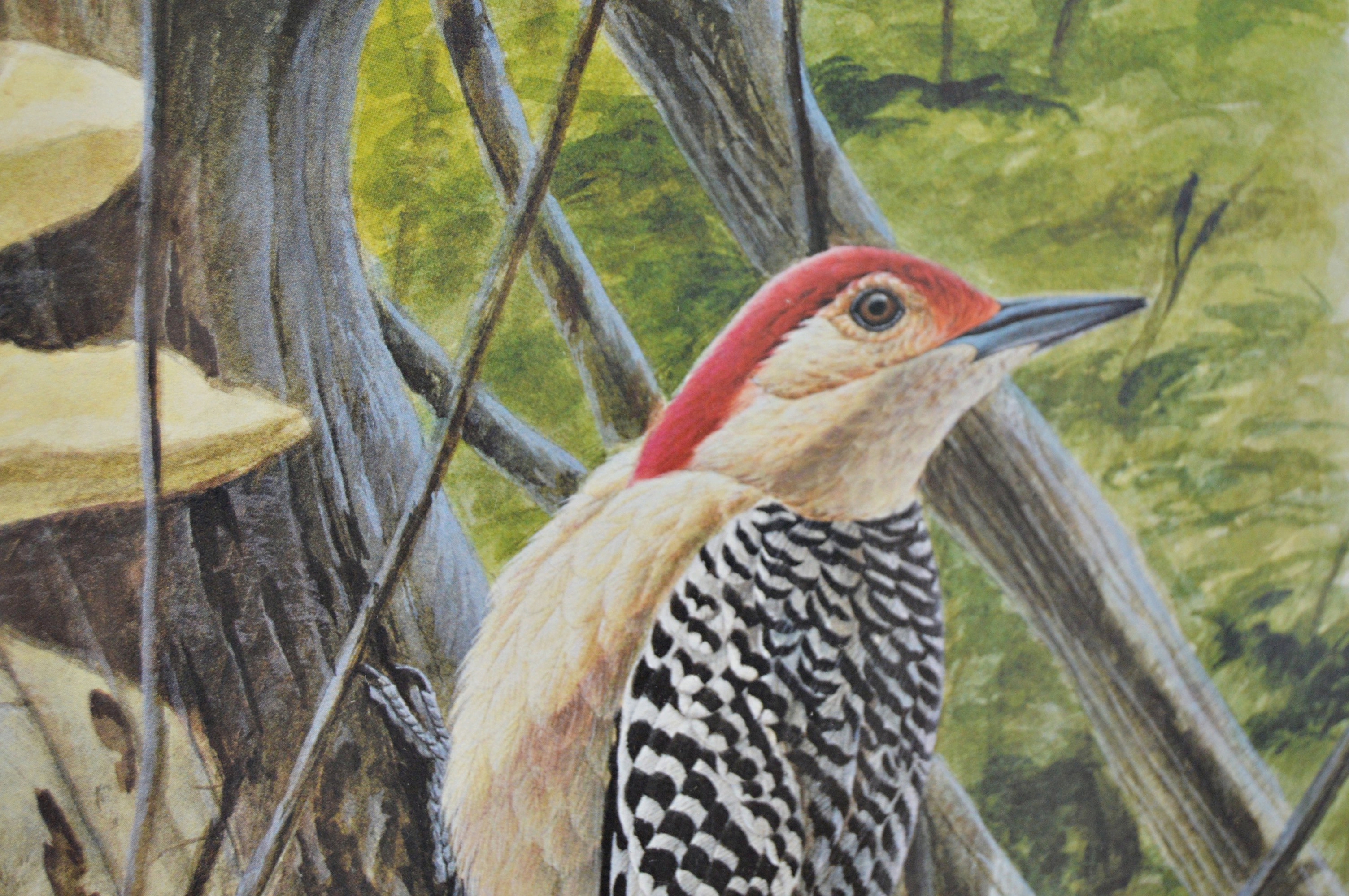John Ruthven Limited Edition Offset Lithograph "Woodpecker"