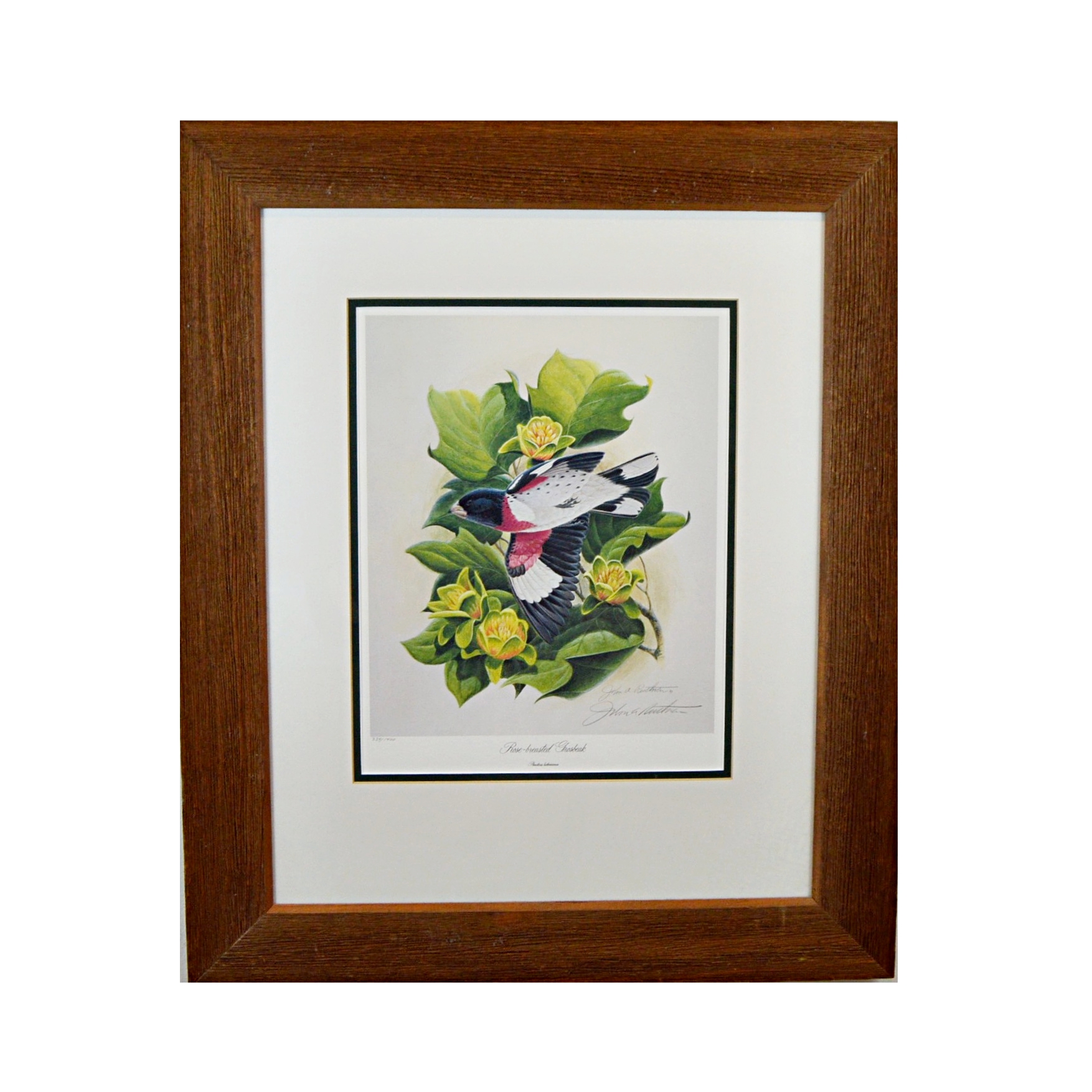 John Ruthven Offset Lithograph "Rose-breasted Grosbeak"
