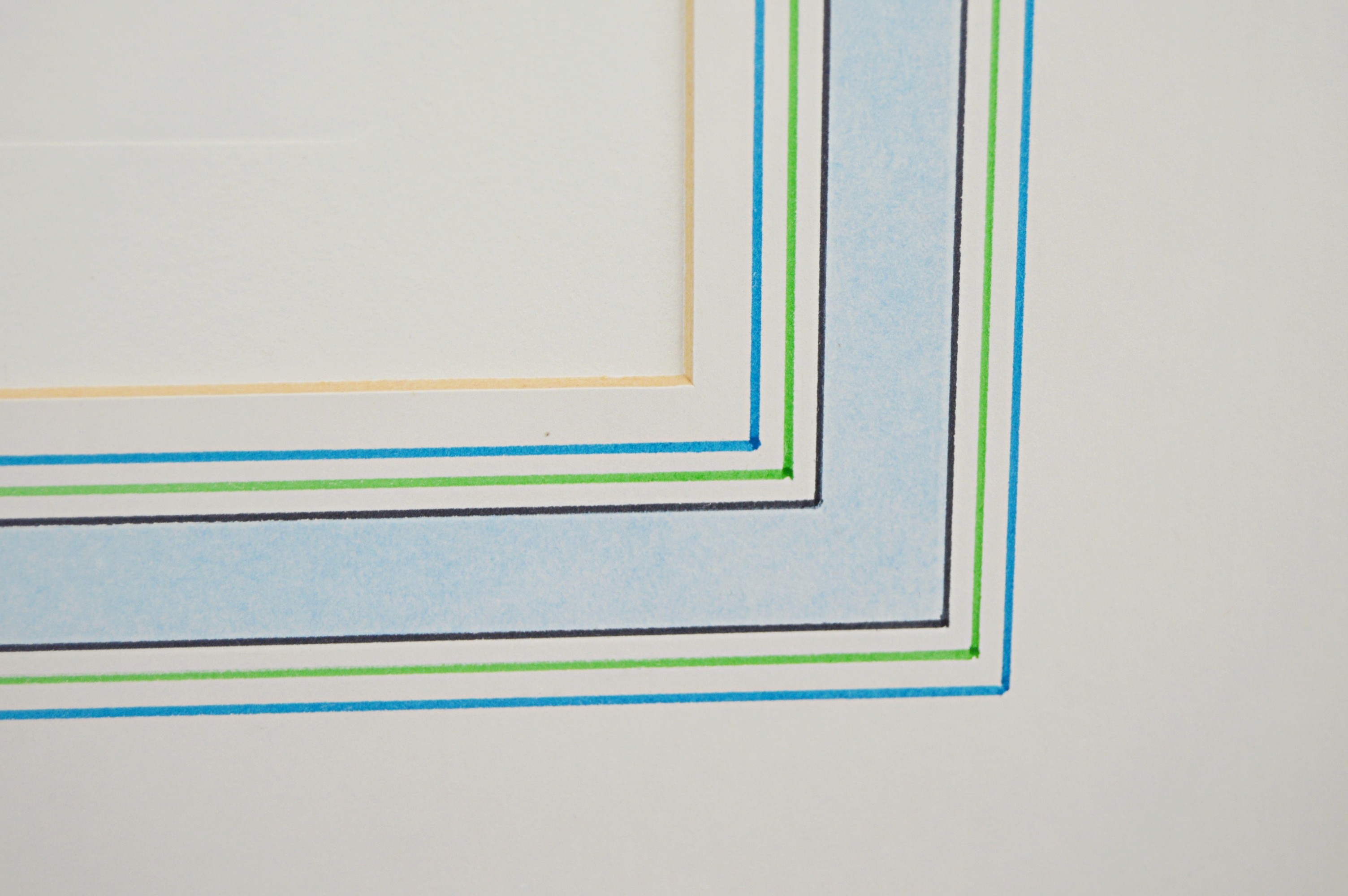 Vintage Botanical Print after Giovanni Battista Ferrari