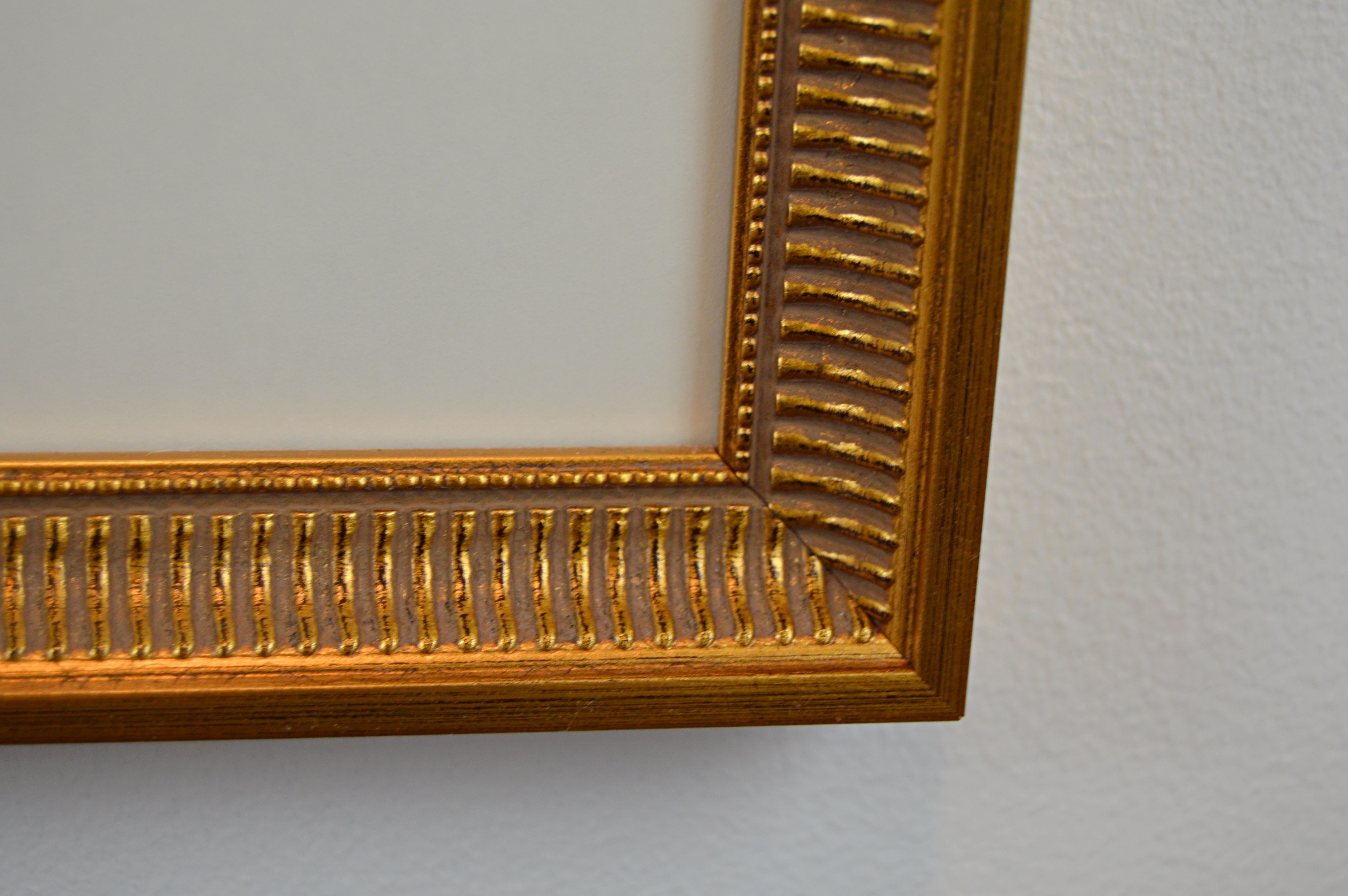 Vintage Botanical Print after Giovanni Battista Ferrari