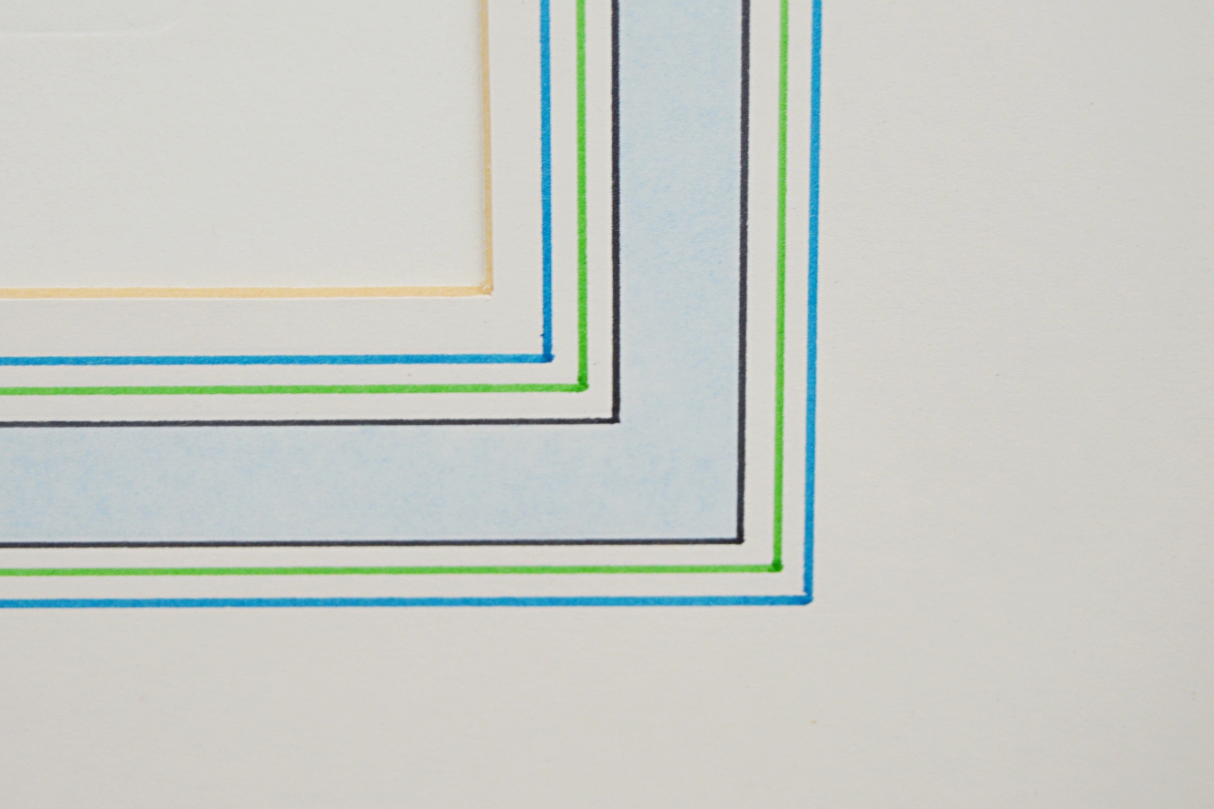 Vintage Botanical Print after Giovanni Battista Ferrari