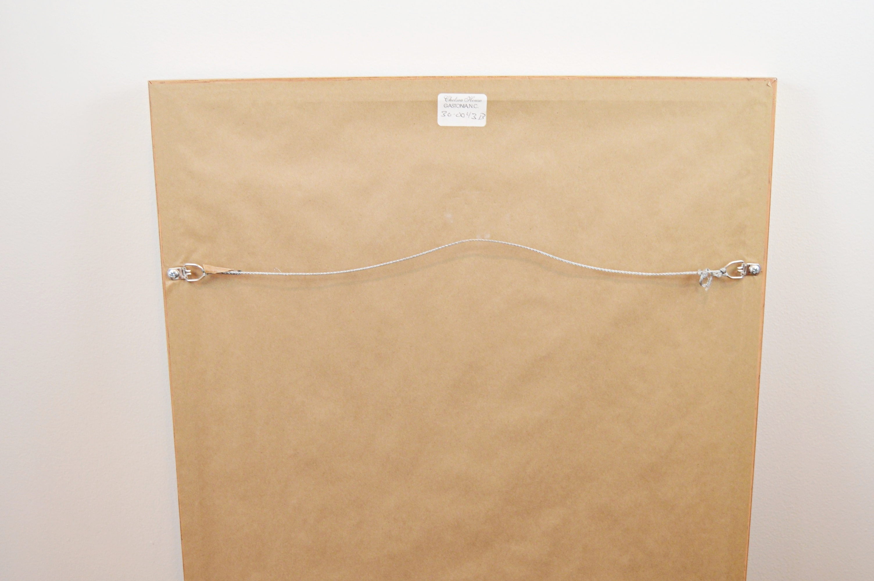 Vintage Botanical Print after Giovanni Battista Ferrari