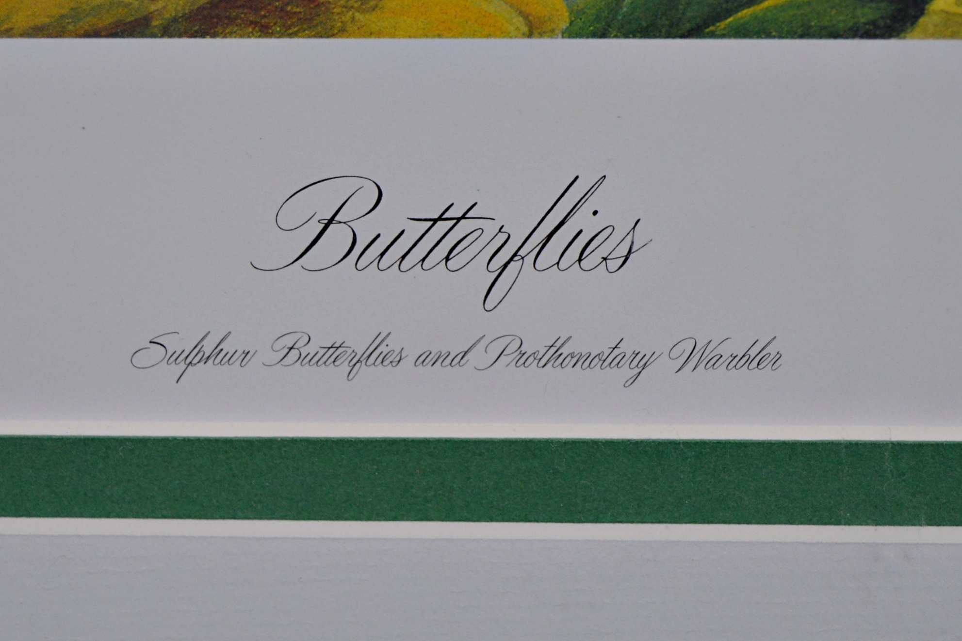 John Ruthven Limited Edition Offset Lithograph "Butterflies"