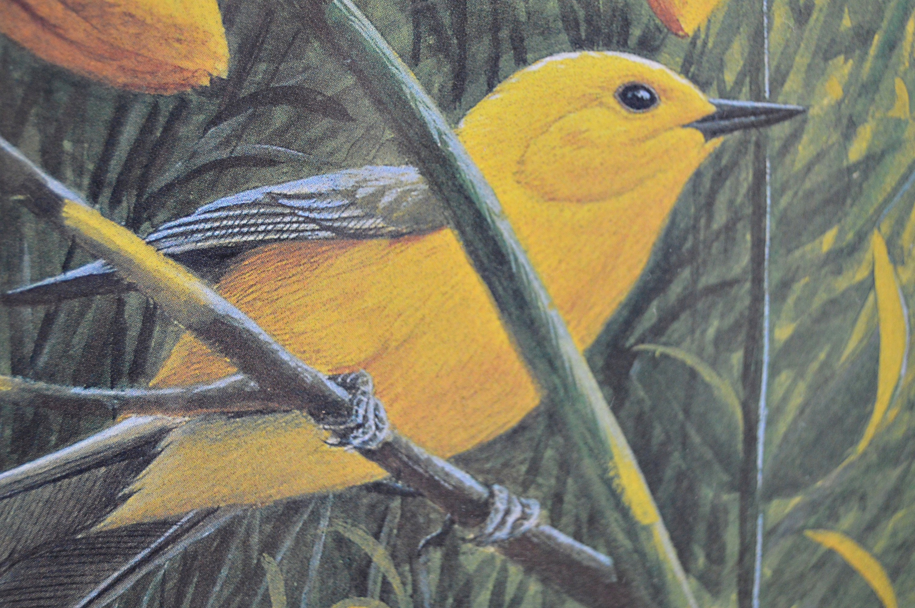 John Ruthven Limited Edition Offset Lithograph "Butterflies"