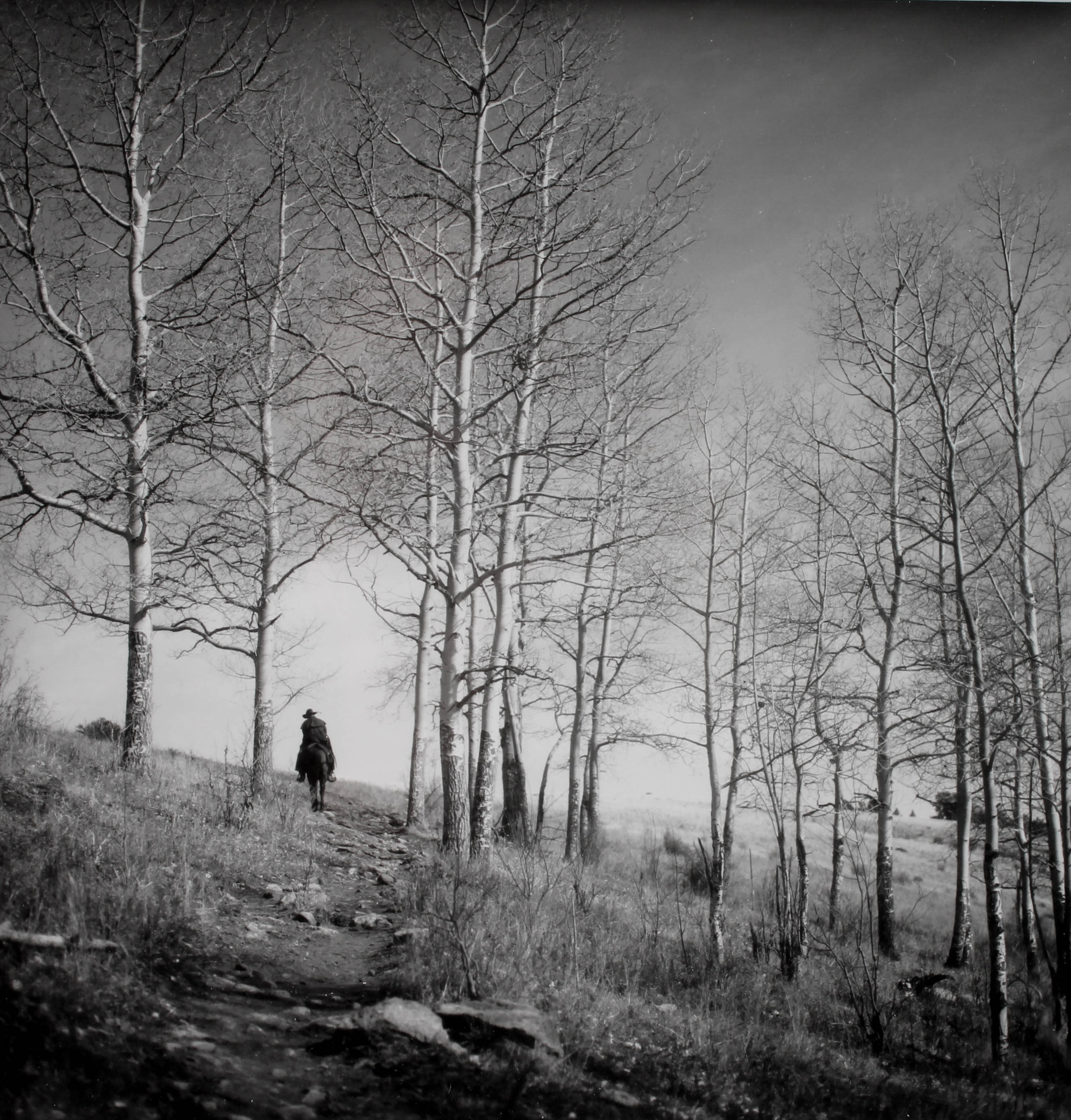 Ronnie Layden Limited Edition Photograph "Pecos Cowboy"