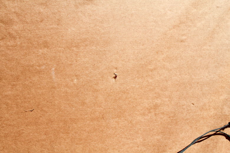 Jane Bazinet Limited Edition Serigraph "Trios Dames"