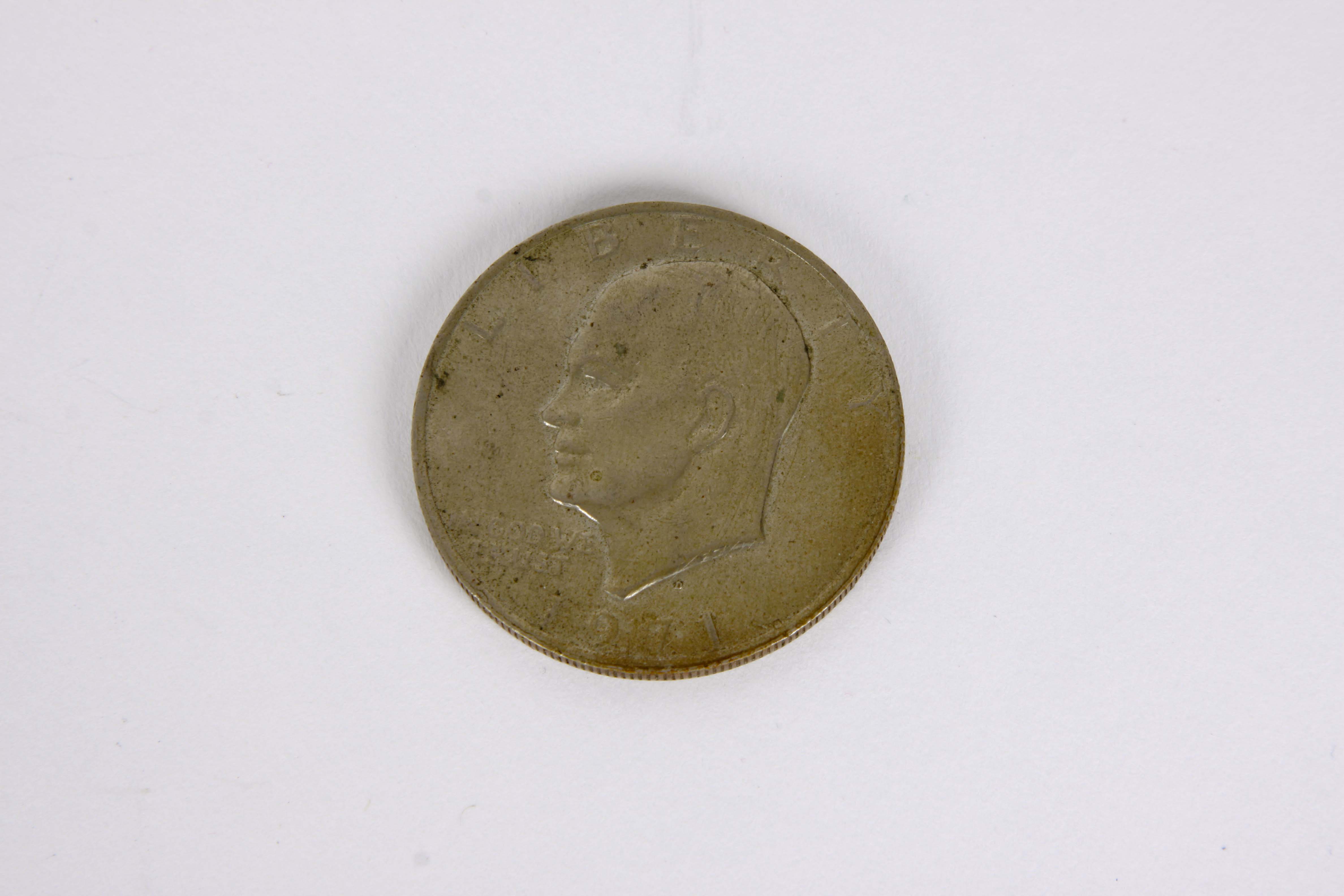 A Group of United States Silver Dollars and Half Dollars