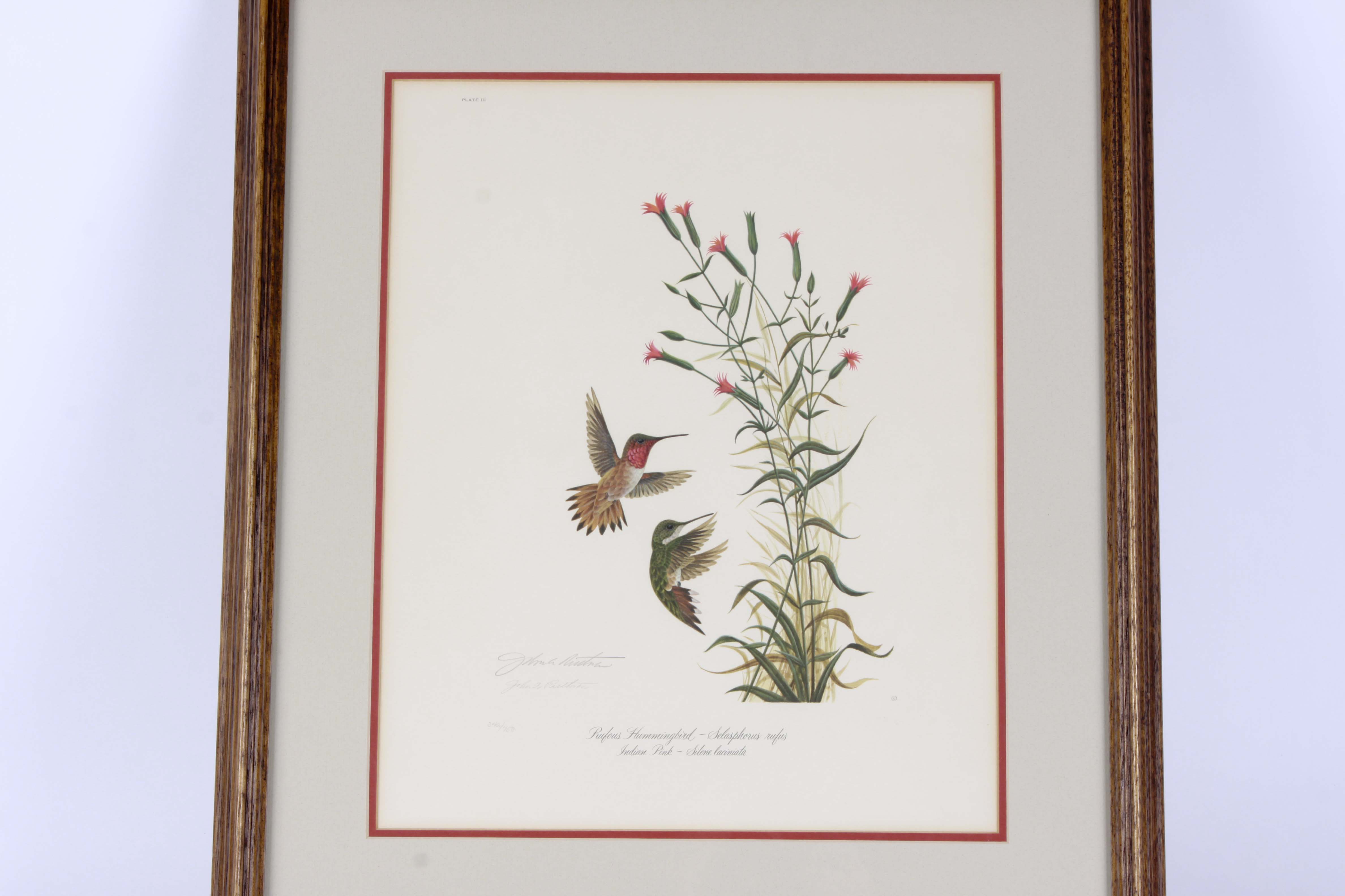 John Ruthven OffSet Lithograph "Rufous Hummingbird"