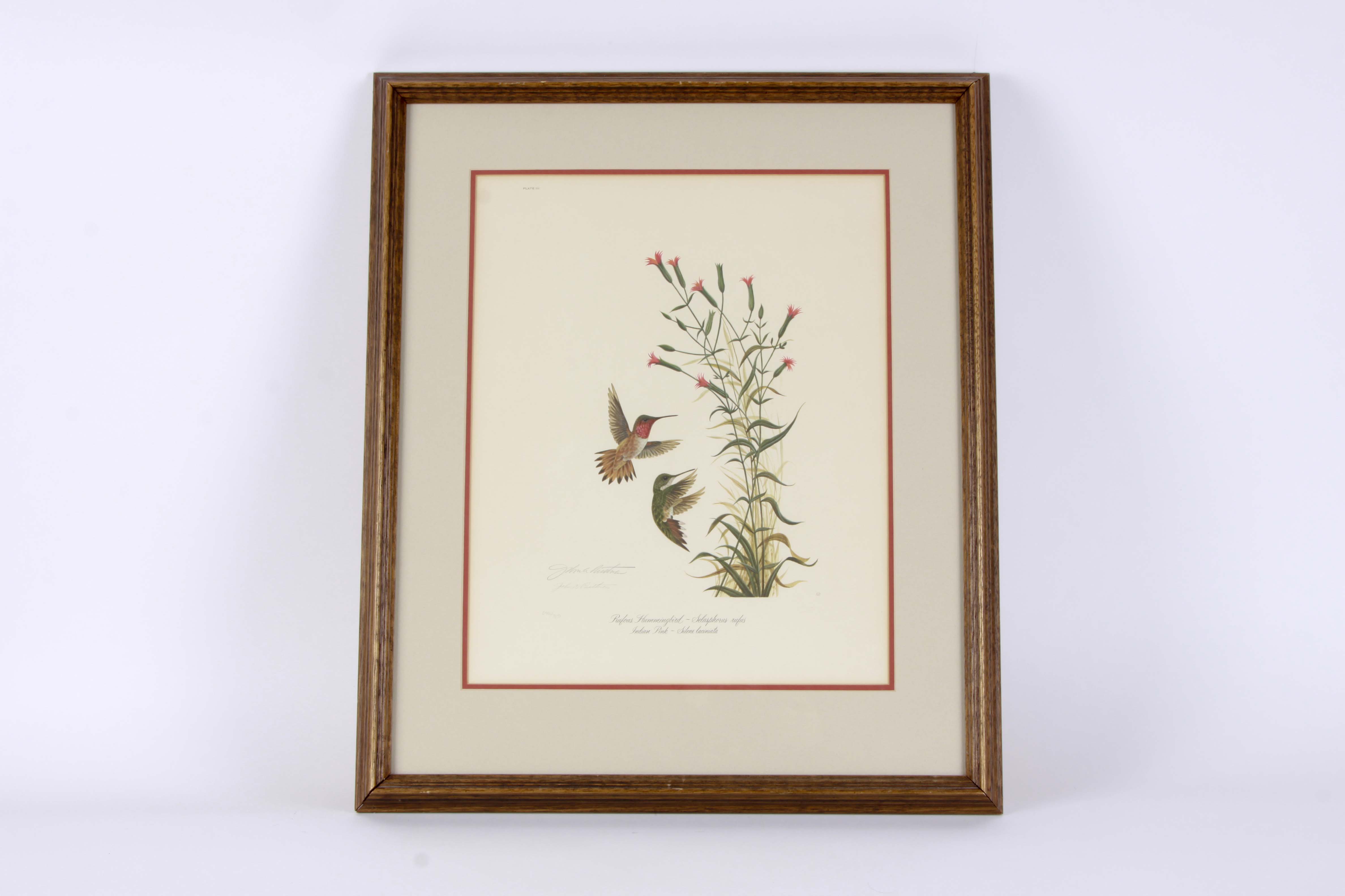 John Ruthven OffSet Lithograph "Rufous Hummingbird"