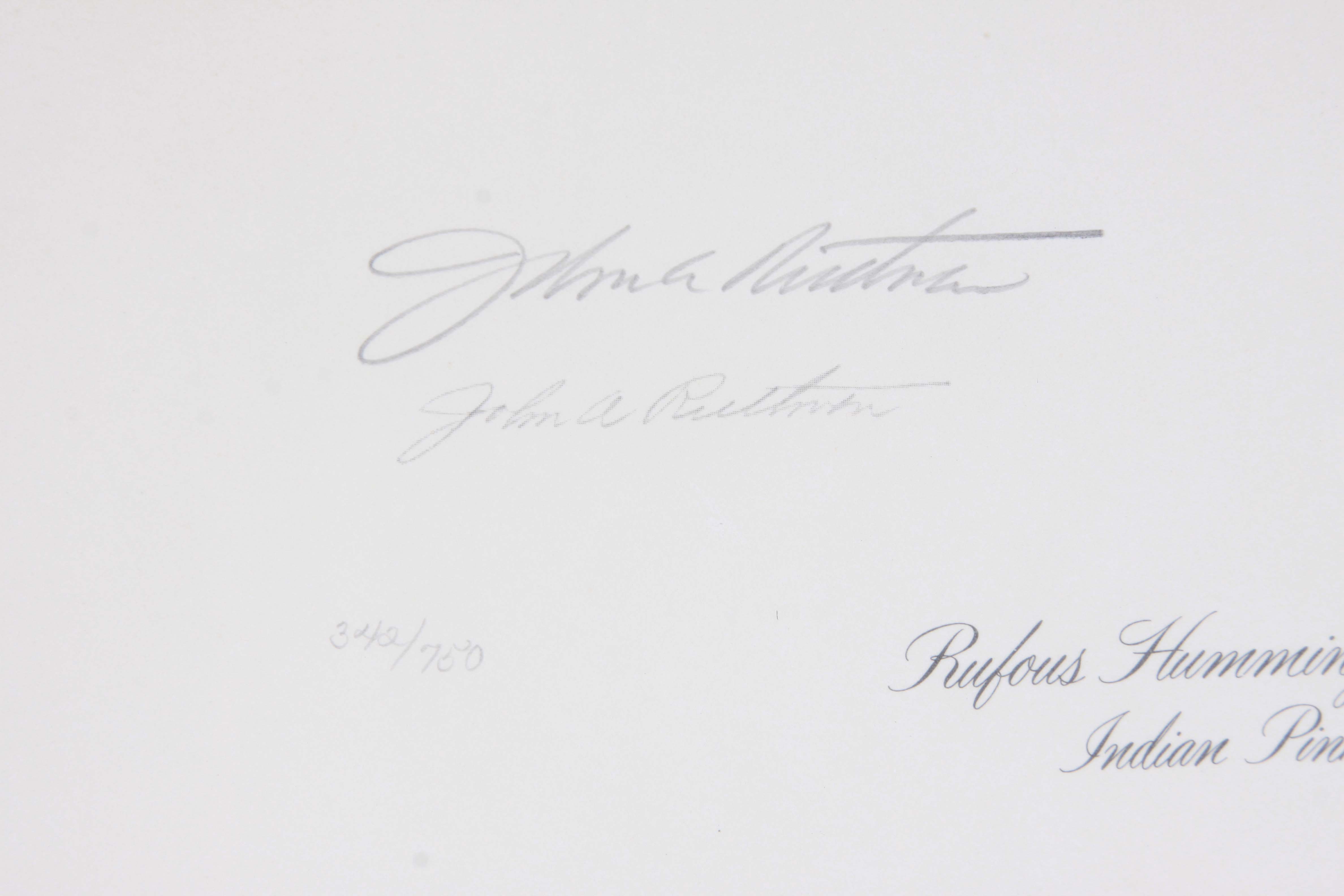 John Ruthven OffSet Lithograph "Rufous Hummingbird"