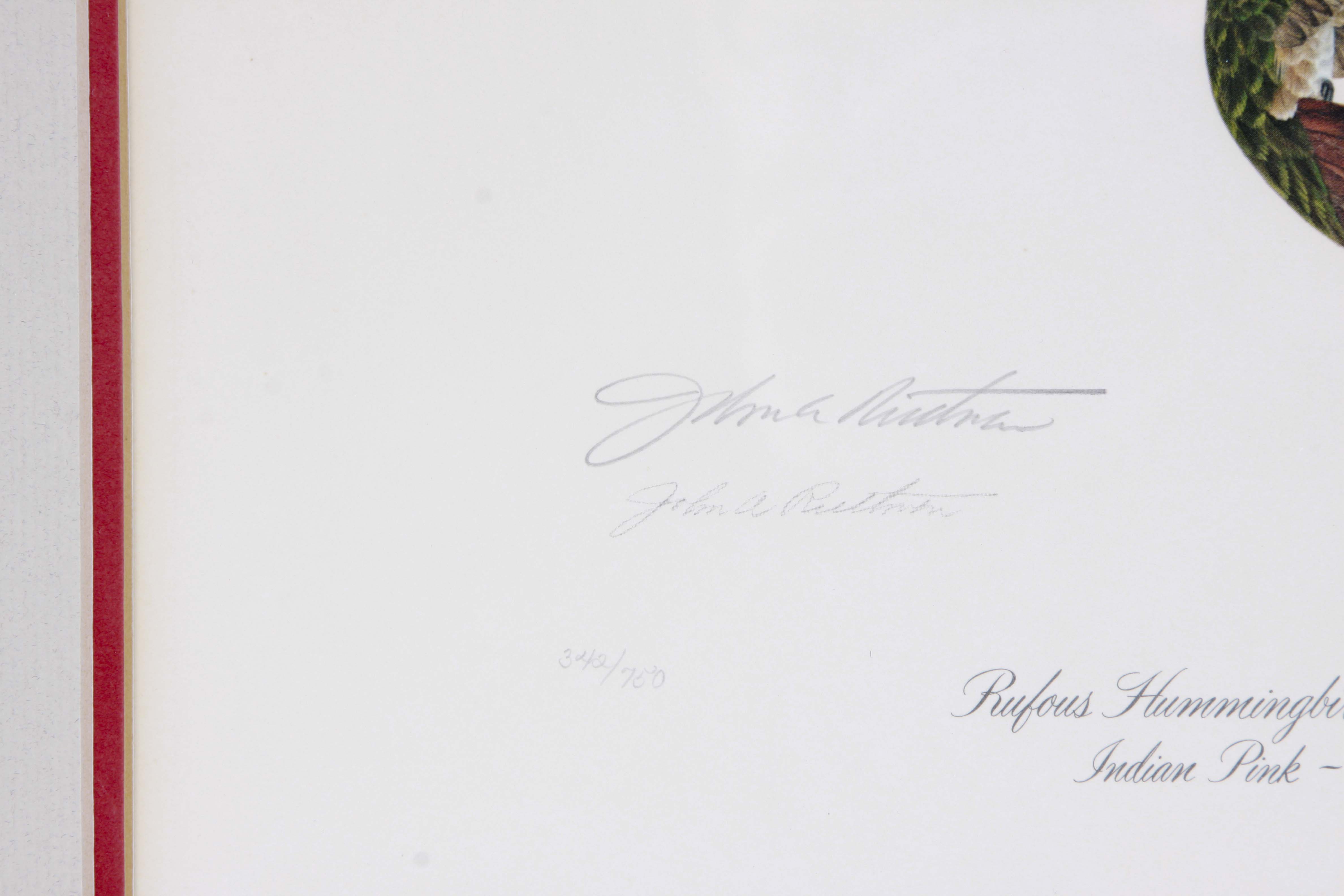 John Ruthven OffSet Lithograph "Rufous Hummingbird"