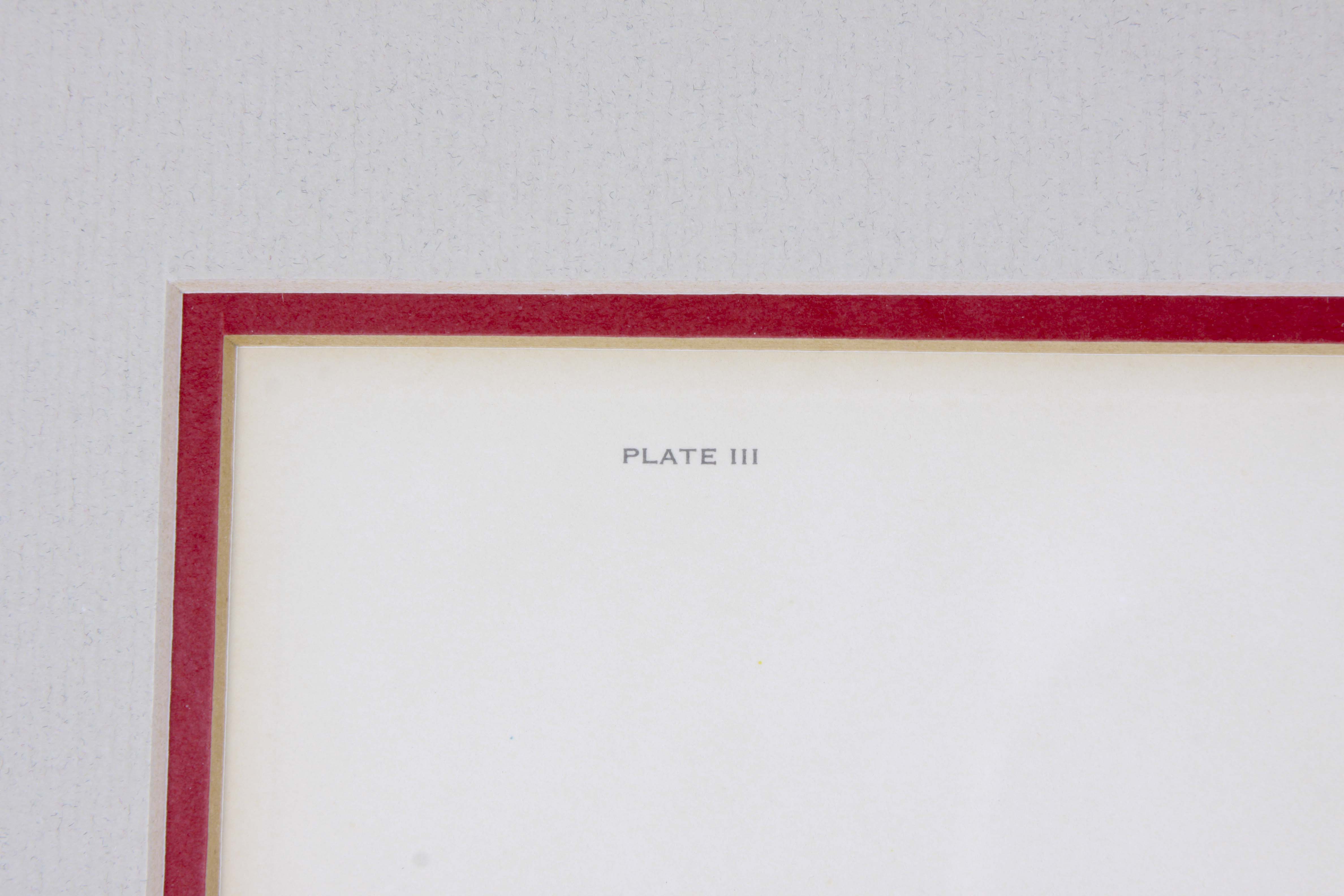 John Ruthven OffSet Lithograph "Rufous Hummingbird"