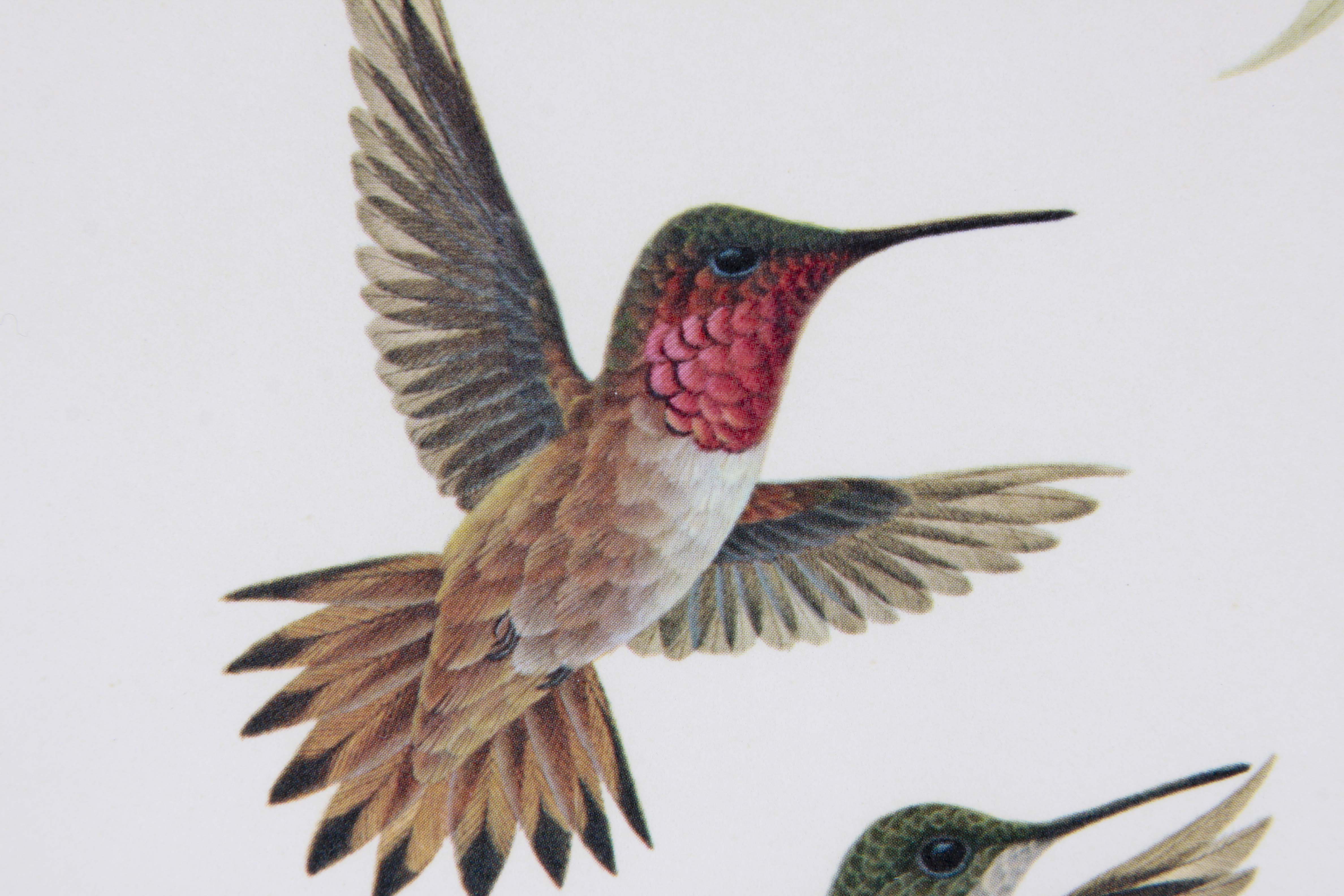 John Ruthven OffSet Lithograph "Rufous Hummingbird"