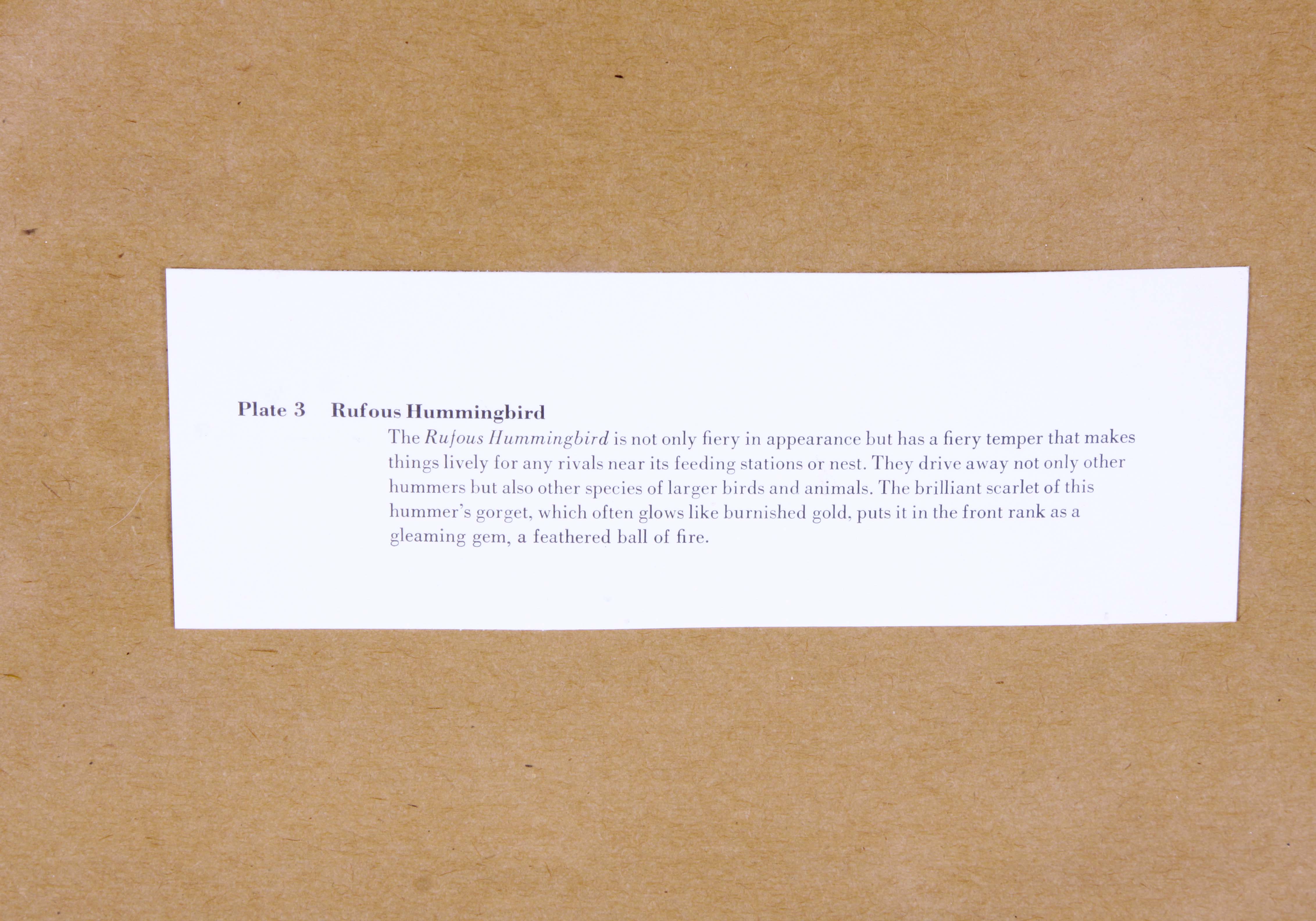 John Ruthven OffSet Lithograph "Rufous Hummingbird"