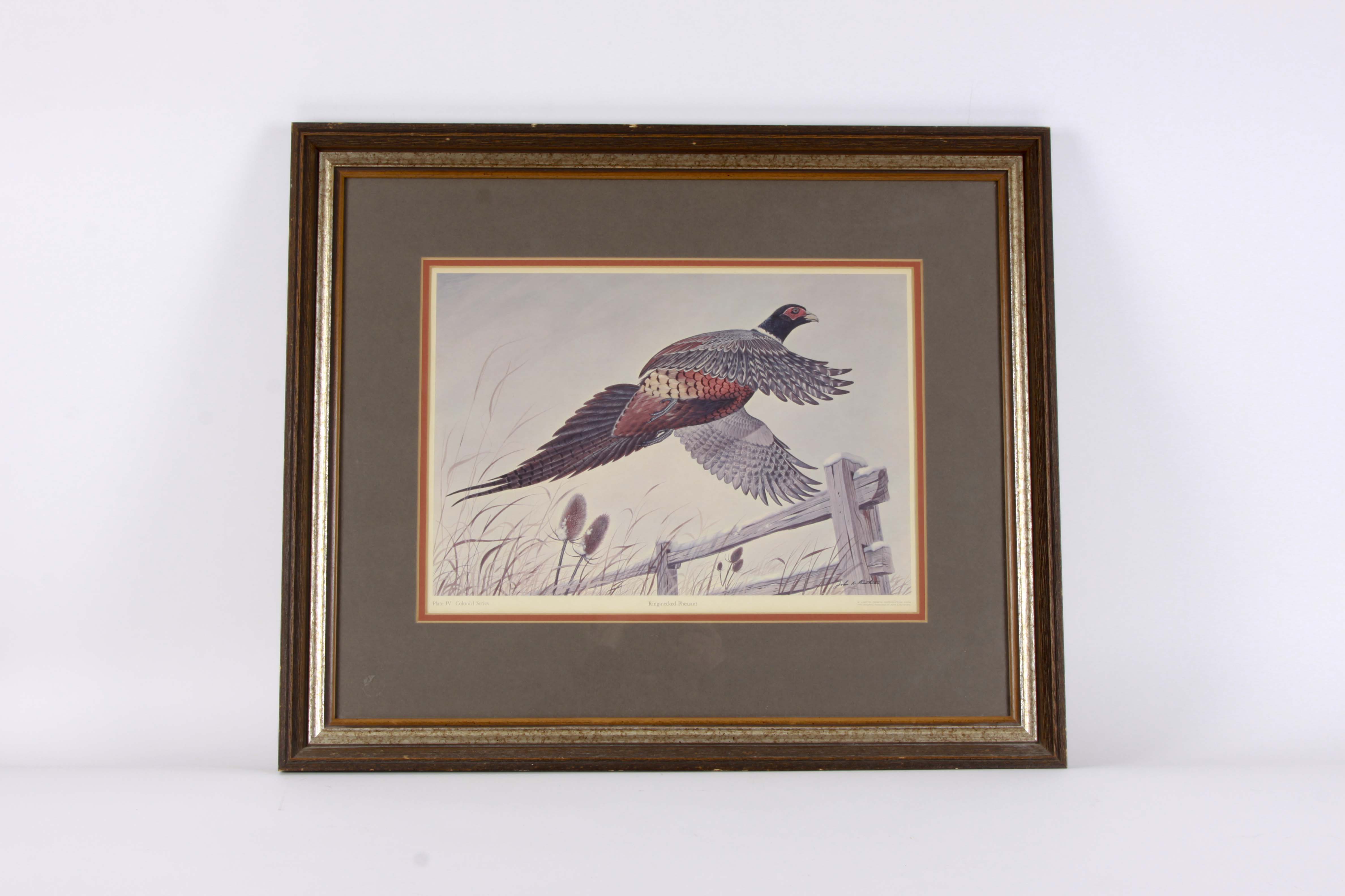 John Ruthven Offset Lithograph "Ring Necked Pheasant"