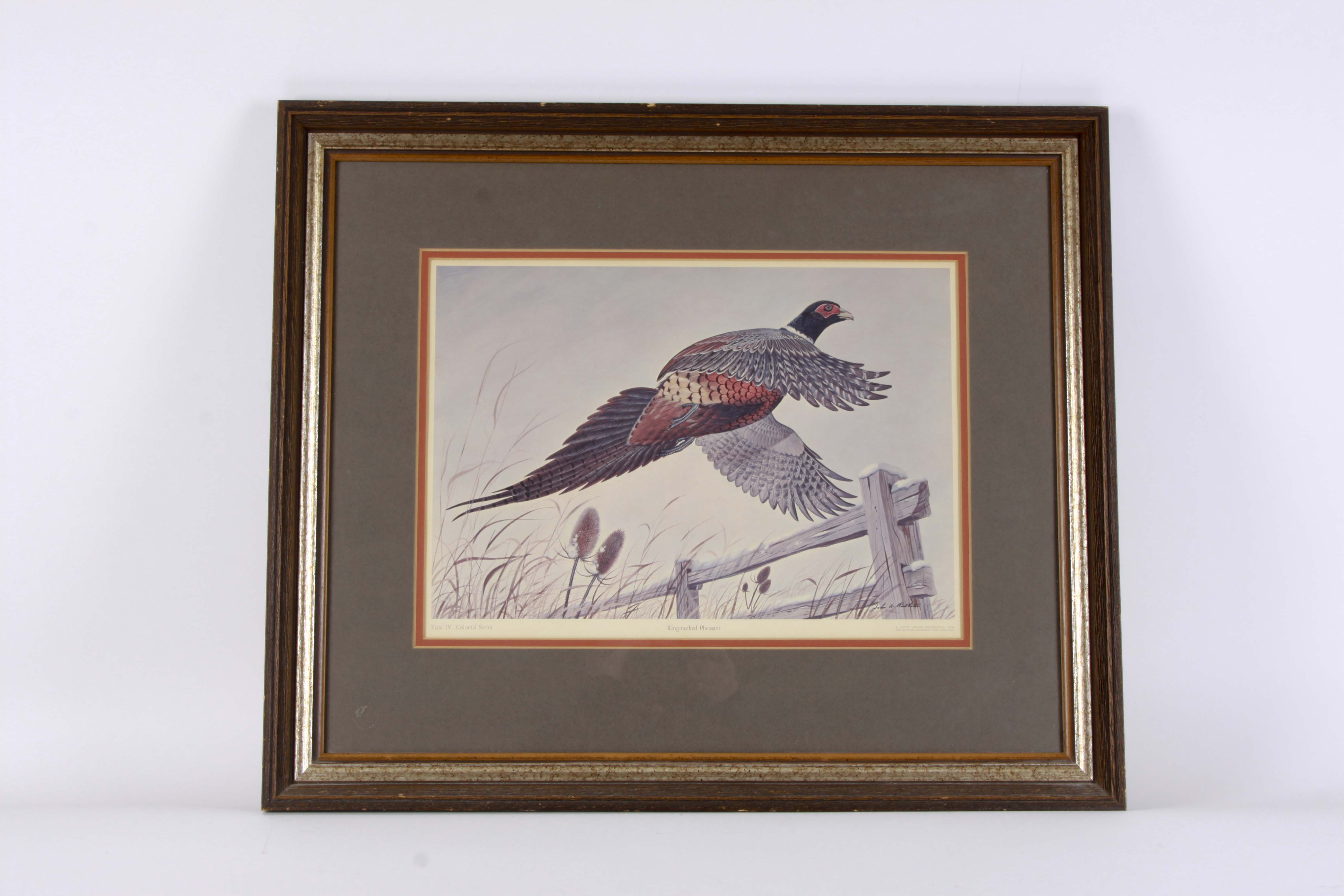 John Ruthven Offset Lithograph "Ring Necked Pheasant"