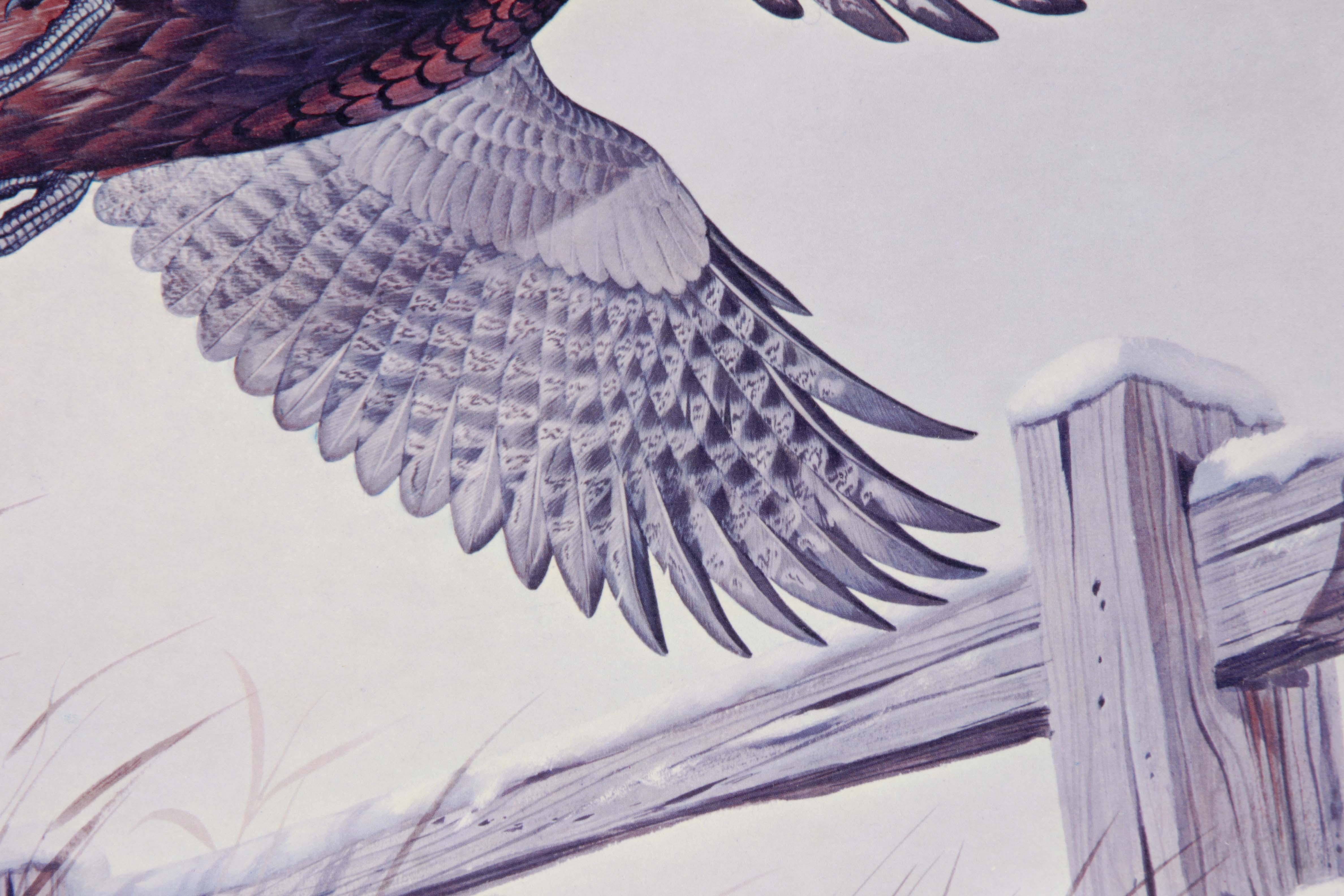 John Ruthven Offset Lithograph "Ring Necked Pheasant"