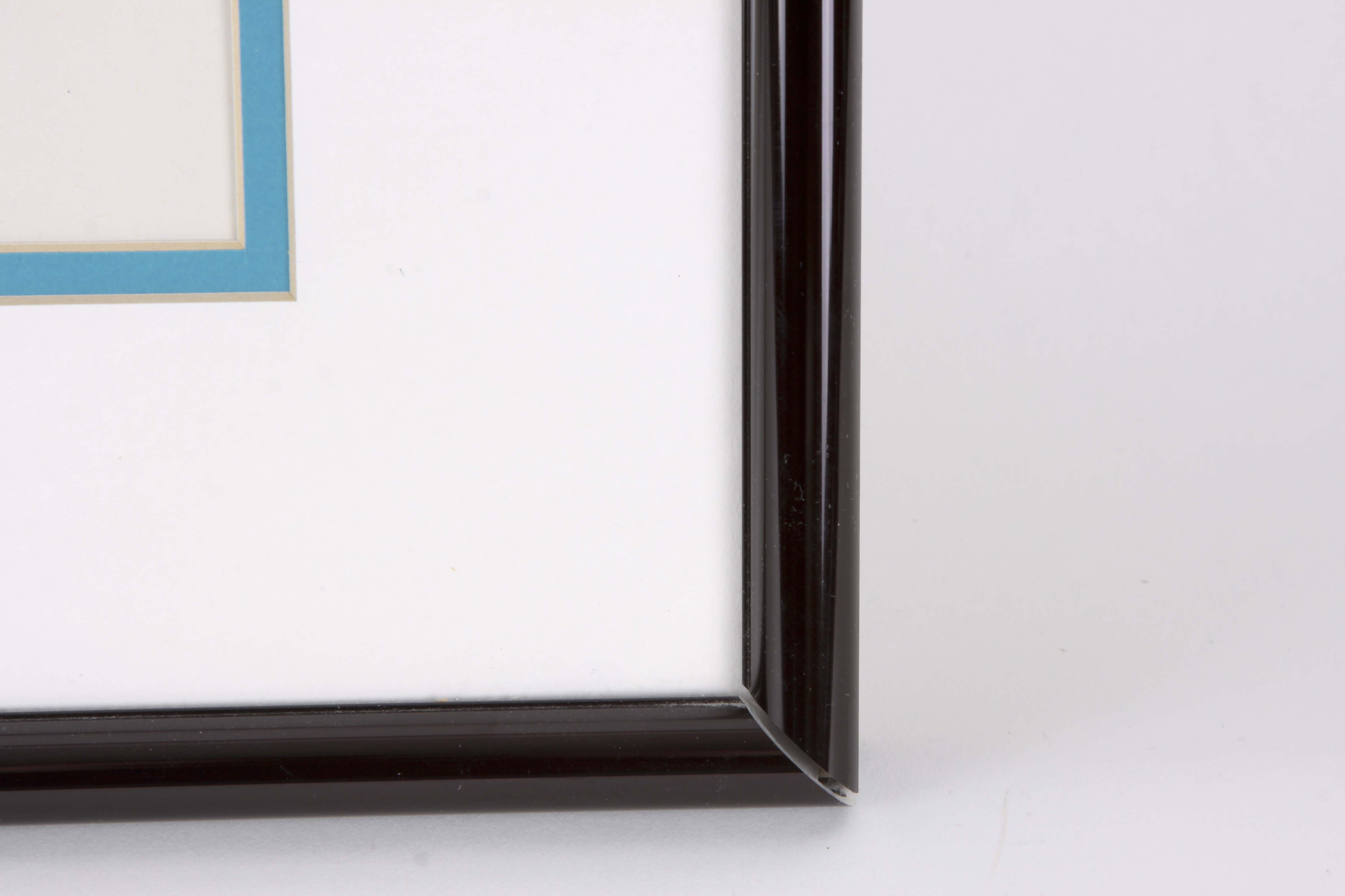 Warner Brother's Sericels